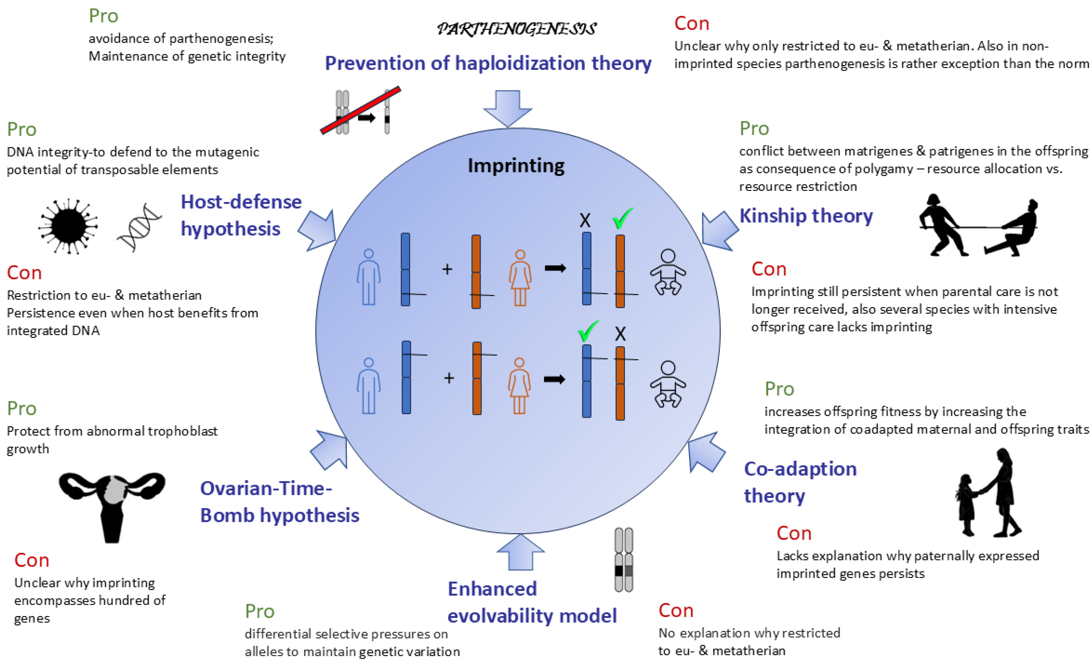 Biology 13 00682 g001 Biology 13 00682 g001