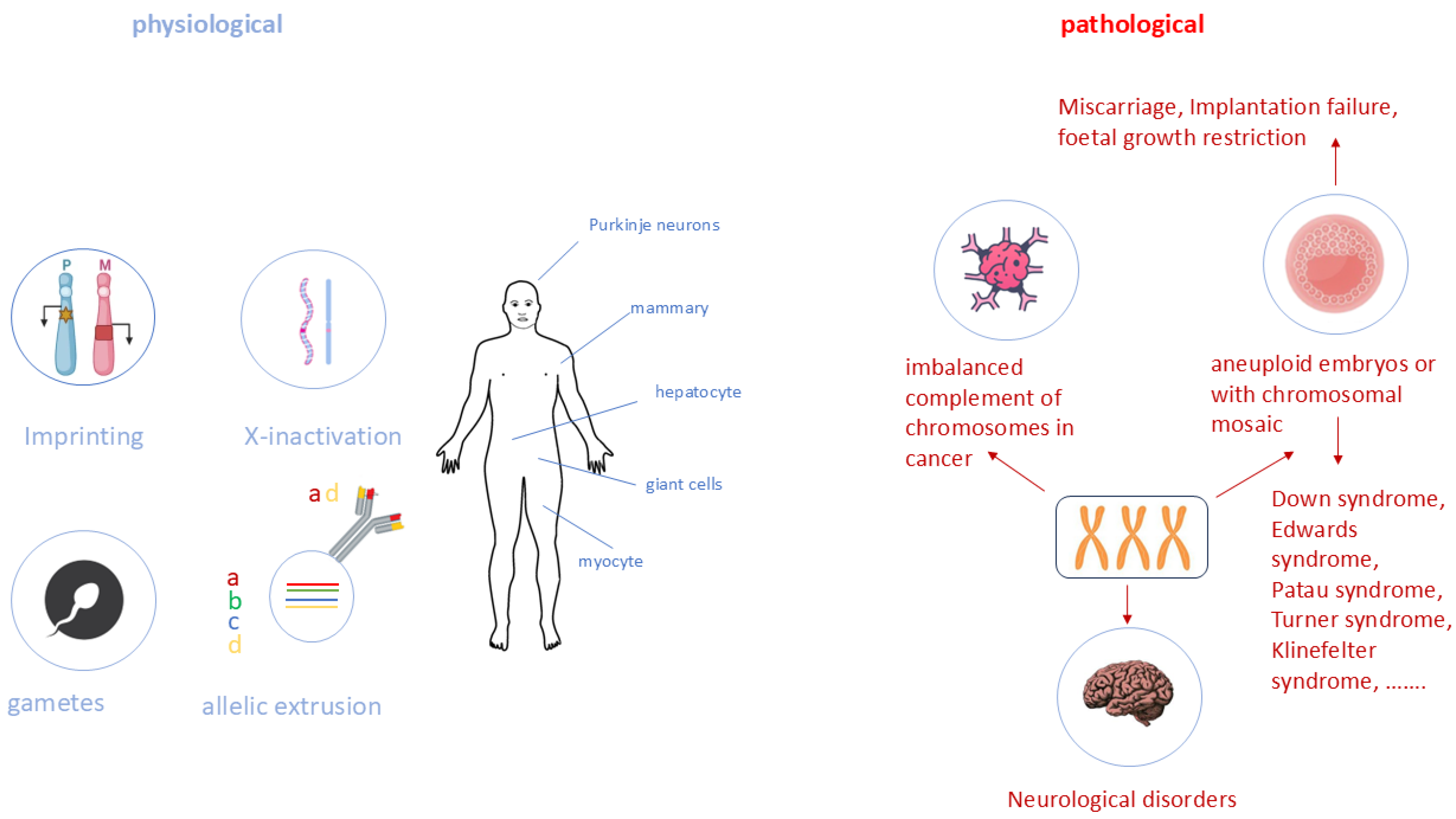 Biology 13 00682 g002 Biology 13 00682 g002