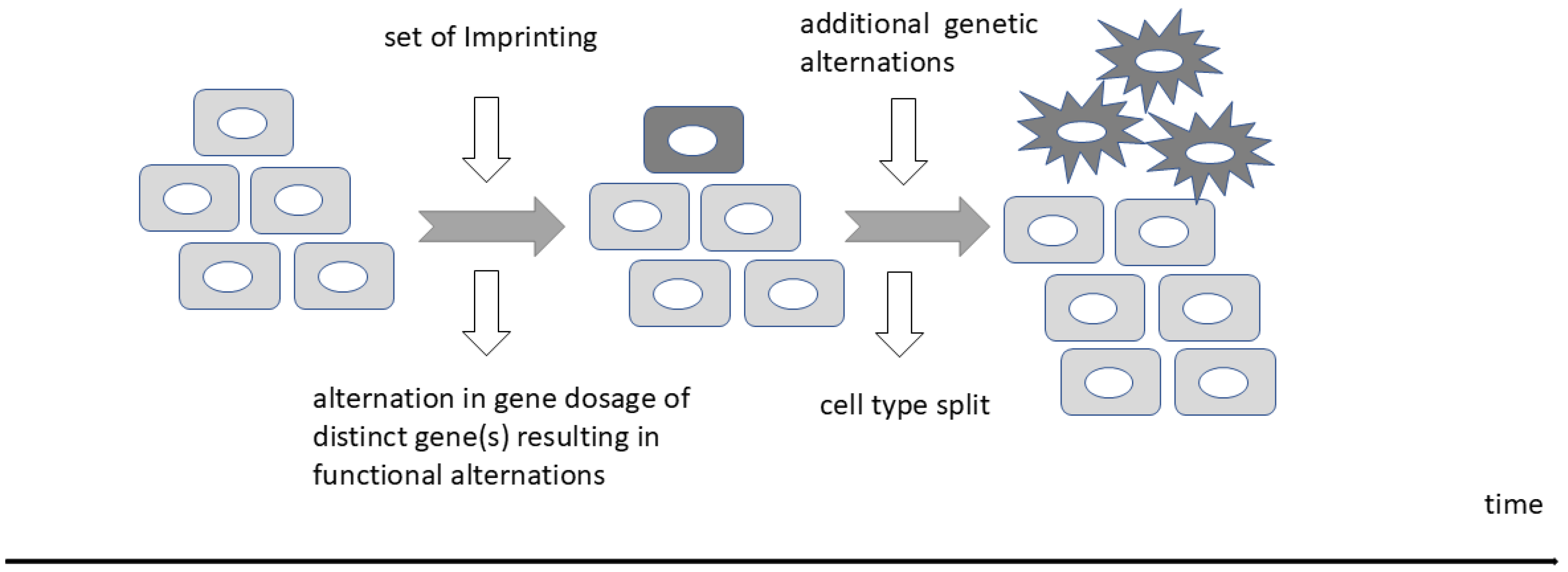 Biology 13 00682 g004 Biology 13 00682 g004