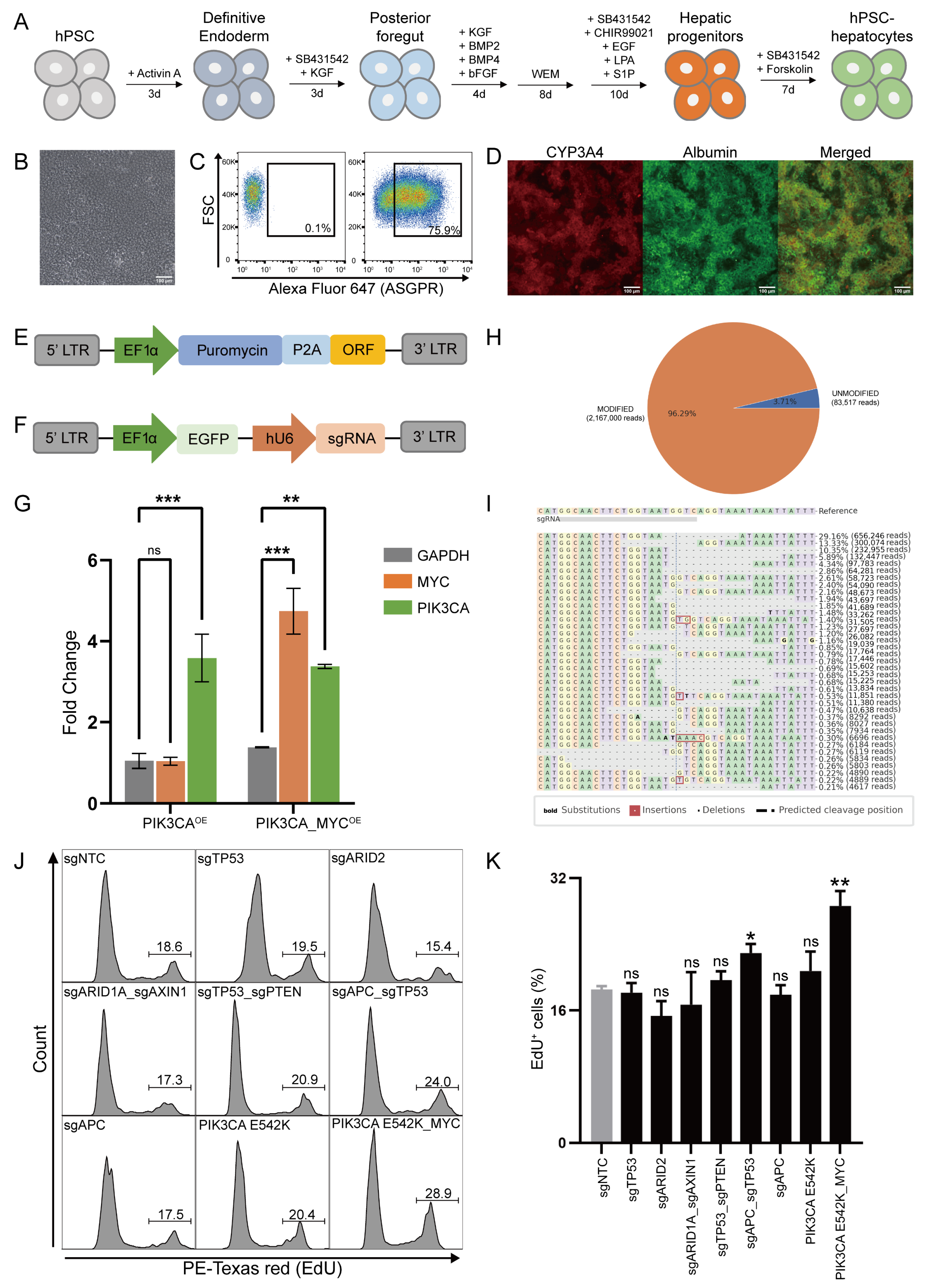 Biology 13 00684 g003