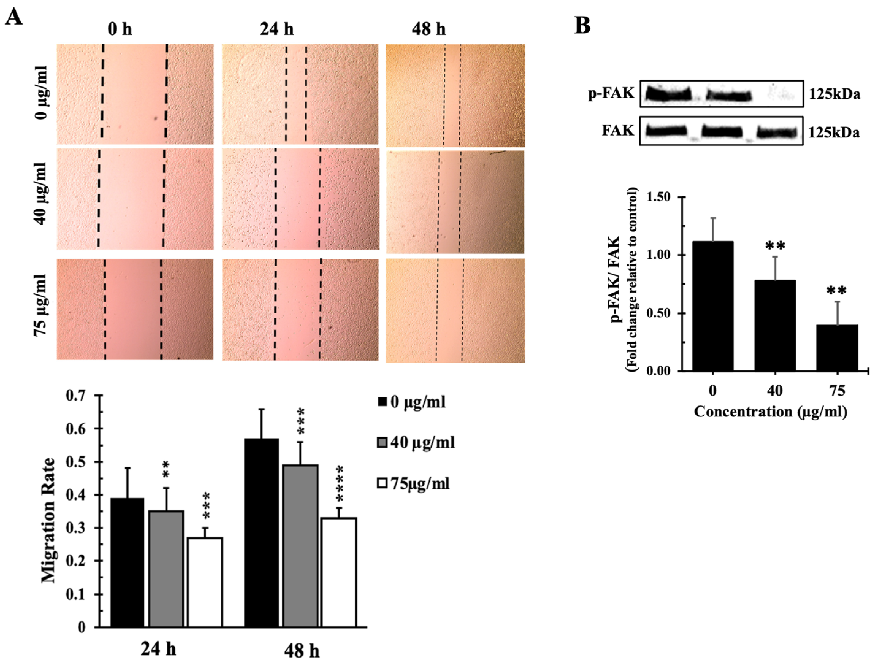 Biology 13 00687 g008 Biology 13 00687 g008