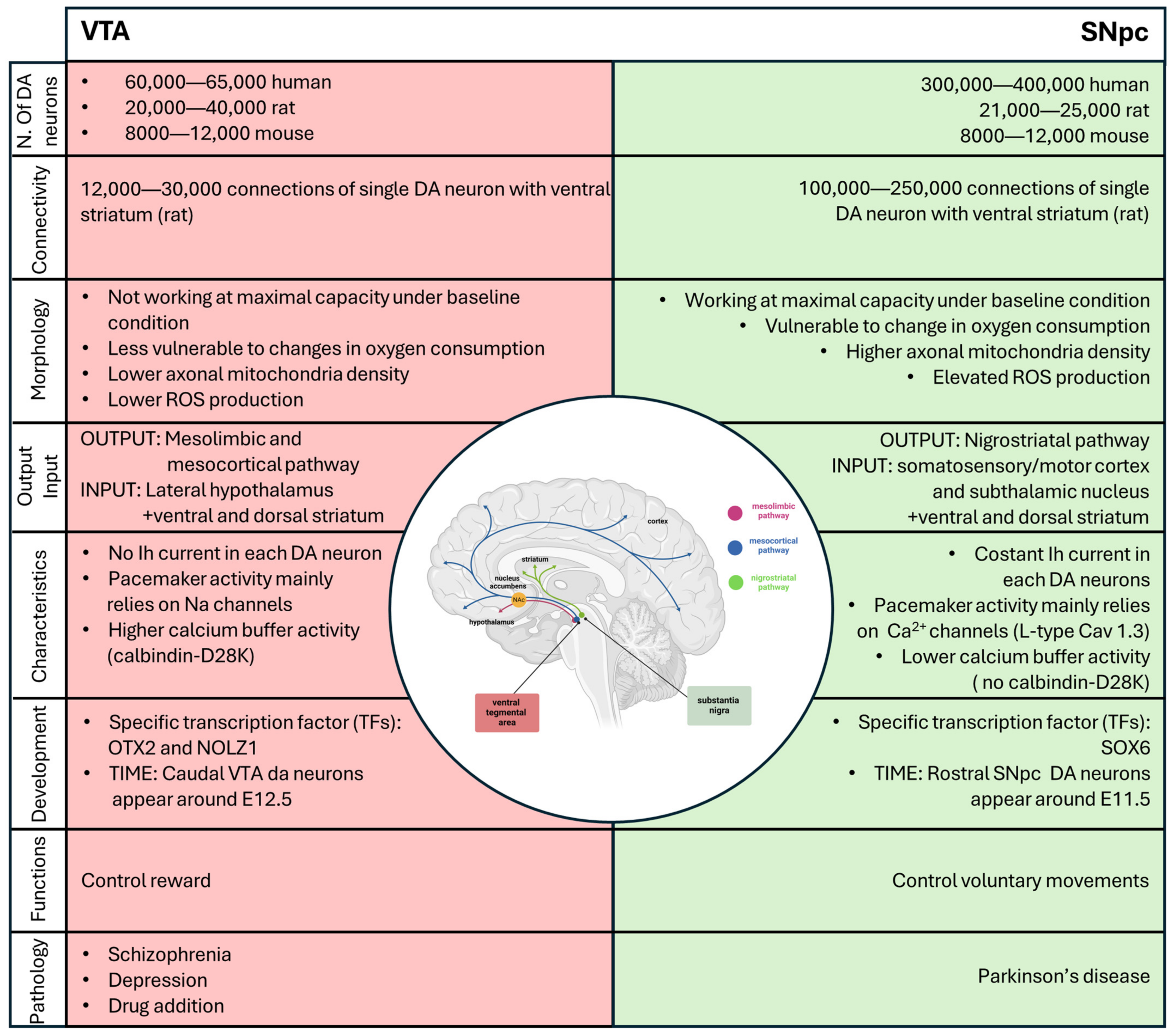 Biology 13 00690 g004 Biology 13 00690 g004