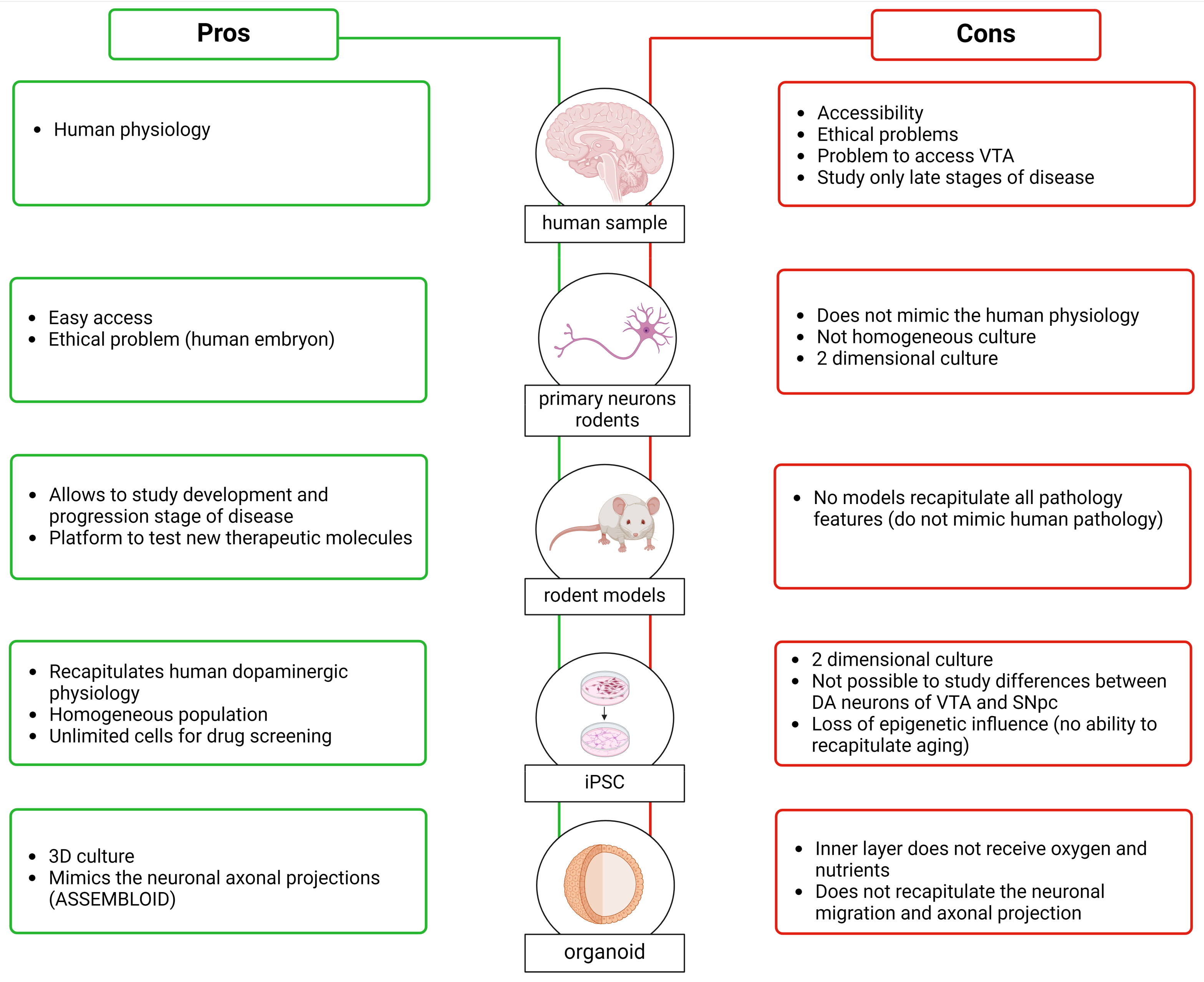 Biology 13 00690 g005 Biology 13 00690 g005
