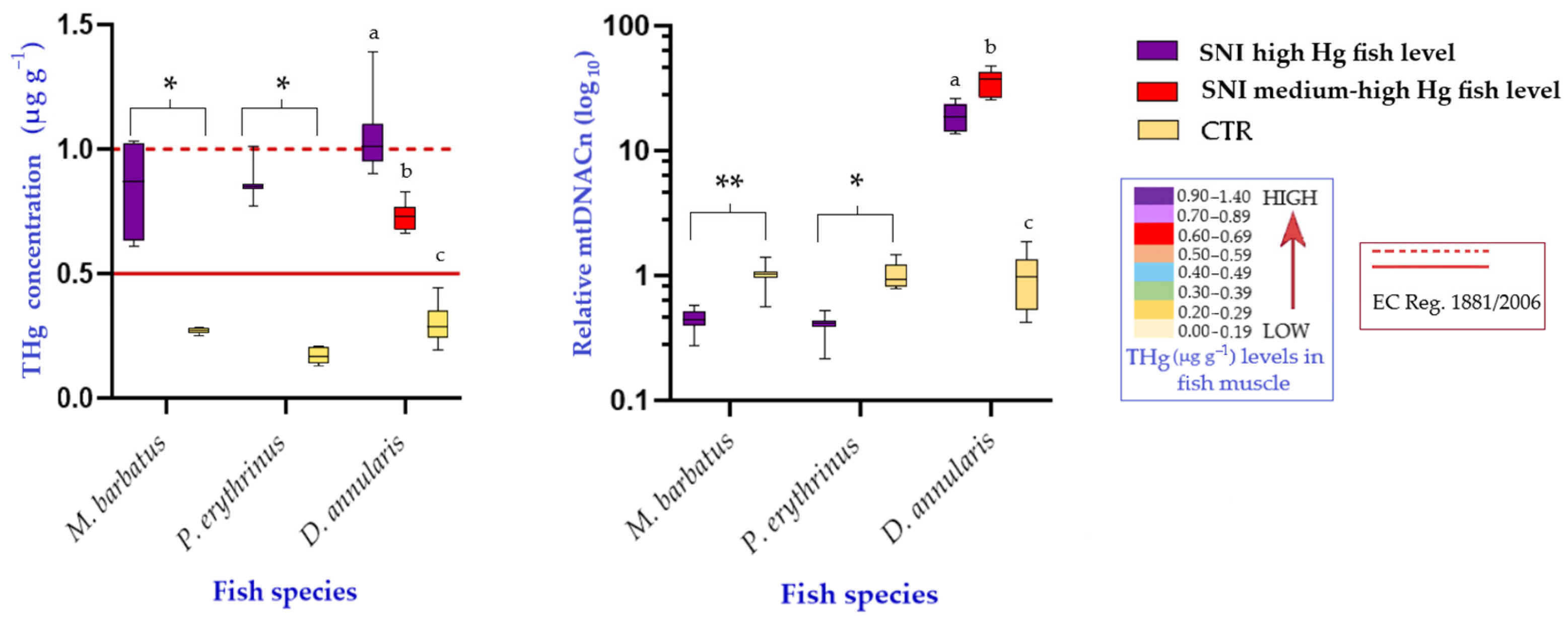 Biology 13 00691 g004 Biology 13 00691 g004