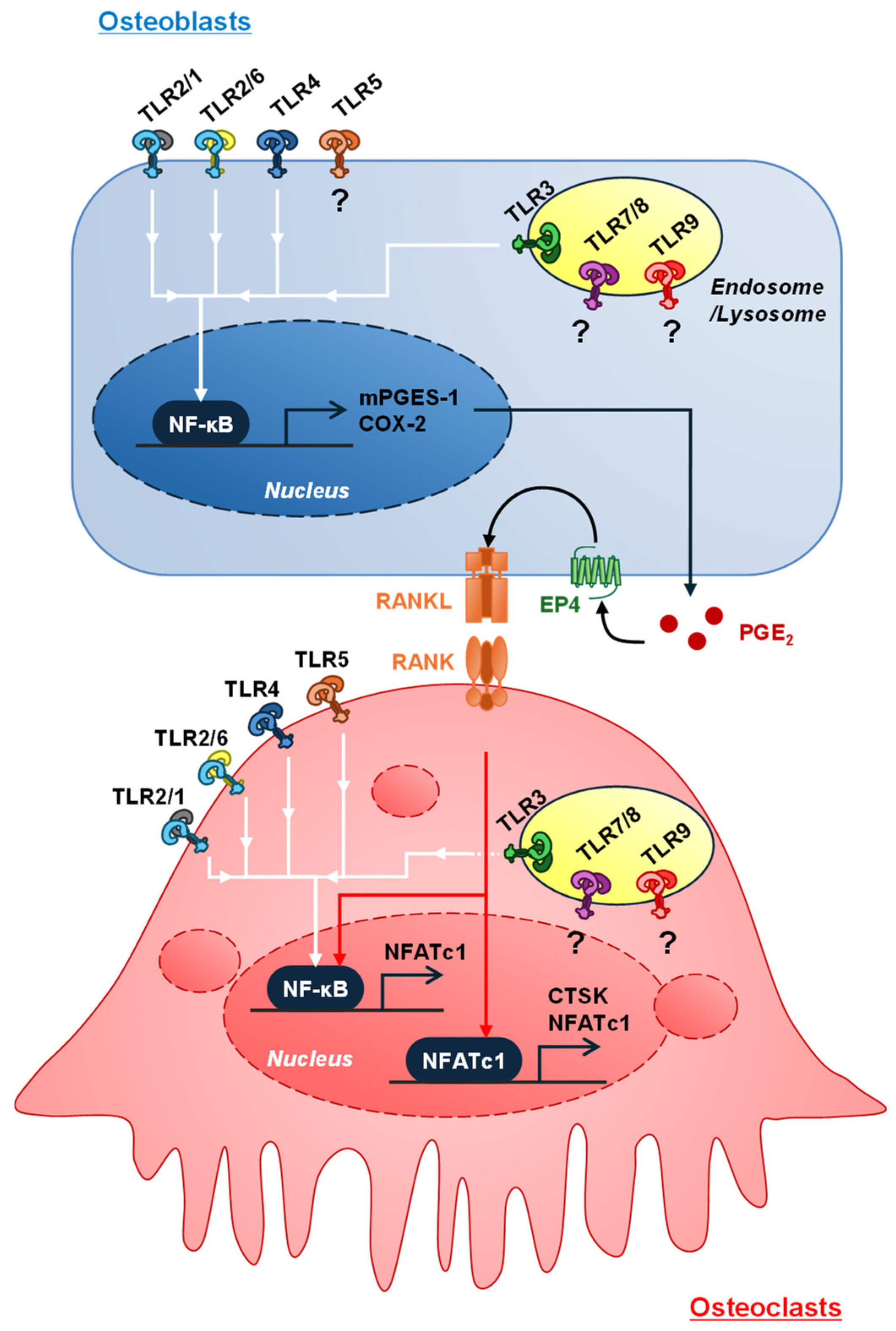 Biology 13 00692 g002