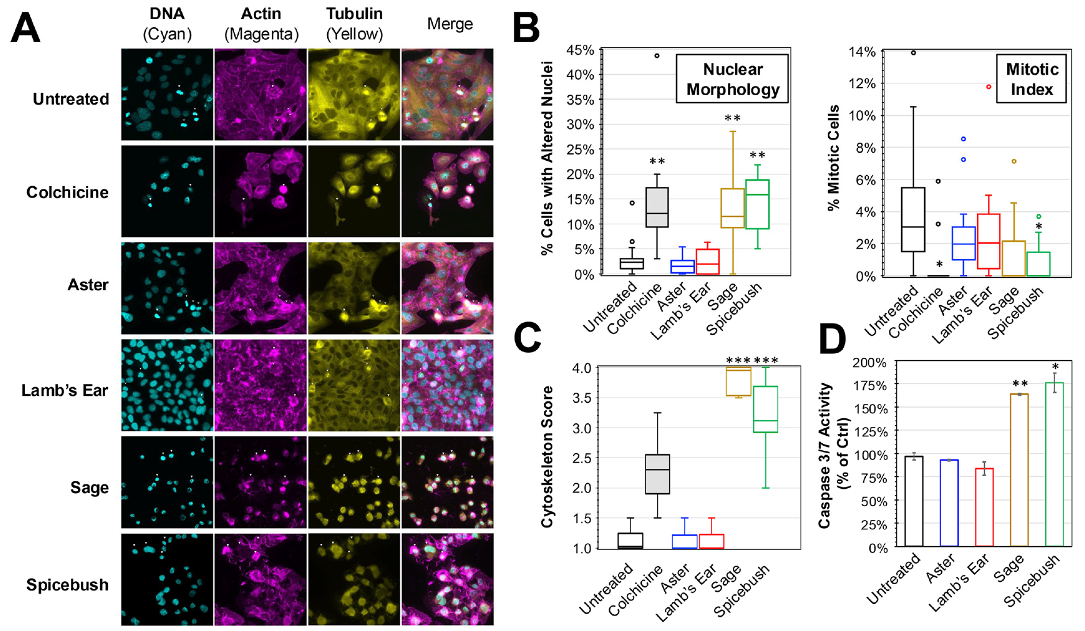 Biology 13 00696 g002
