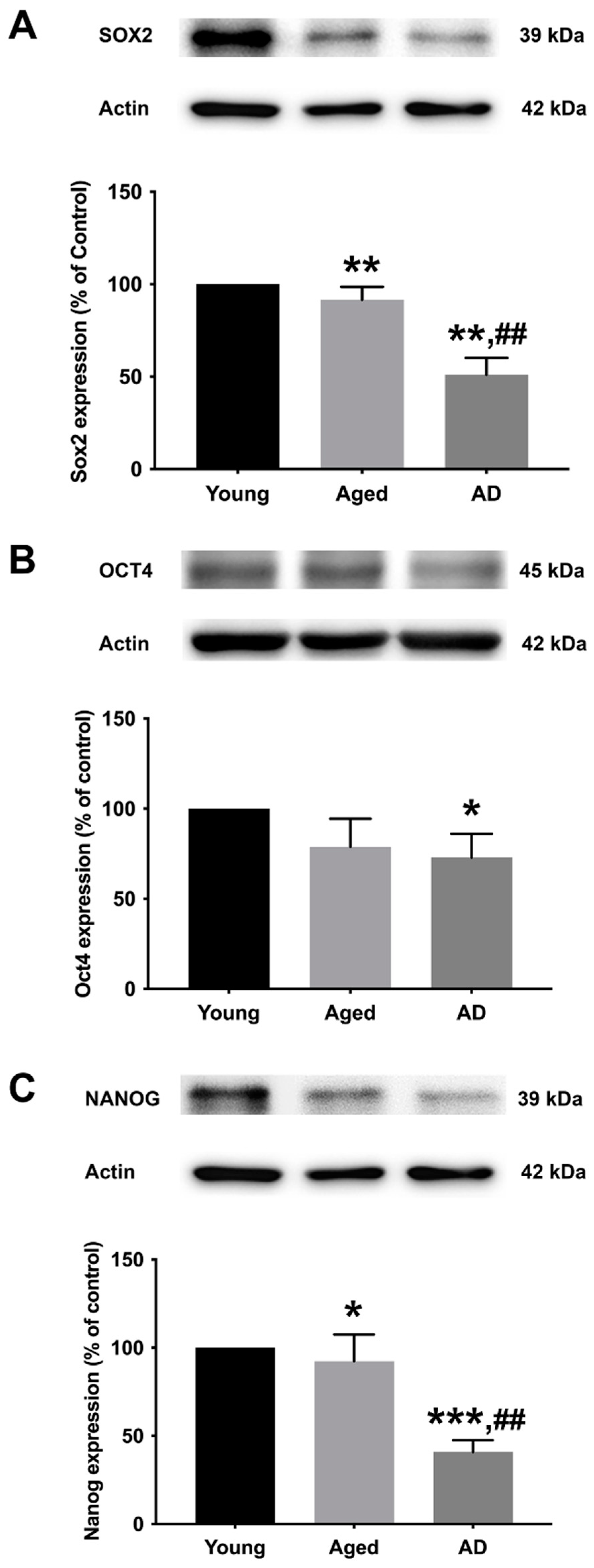 Biology 13 00698 g002