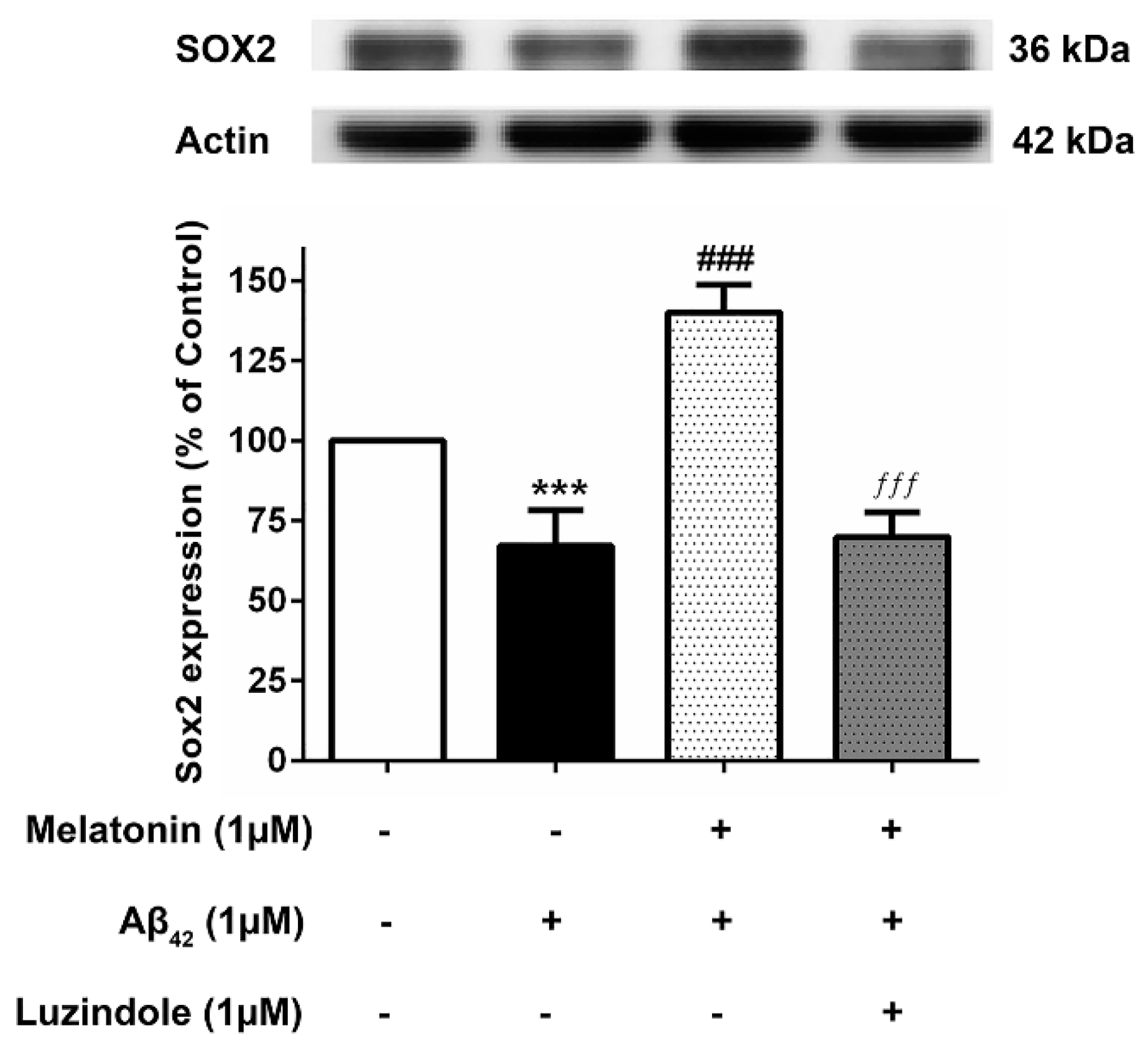 Biology 13 00698 g008