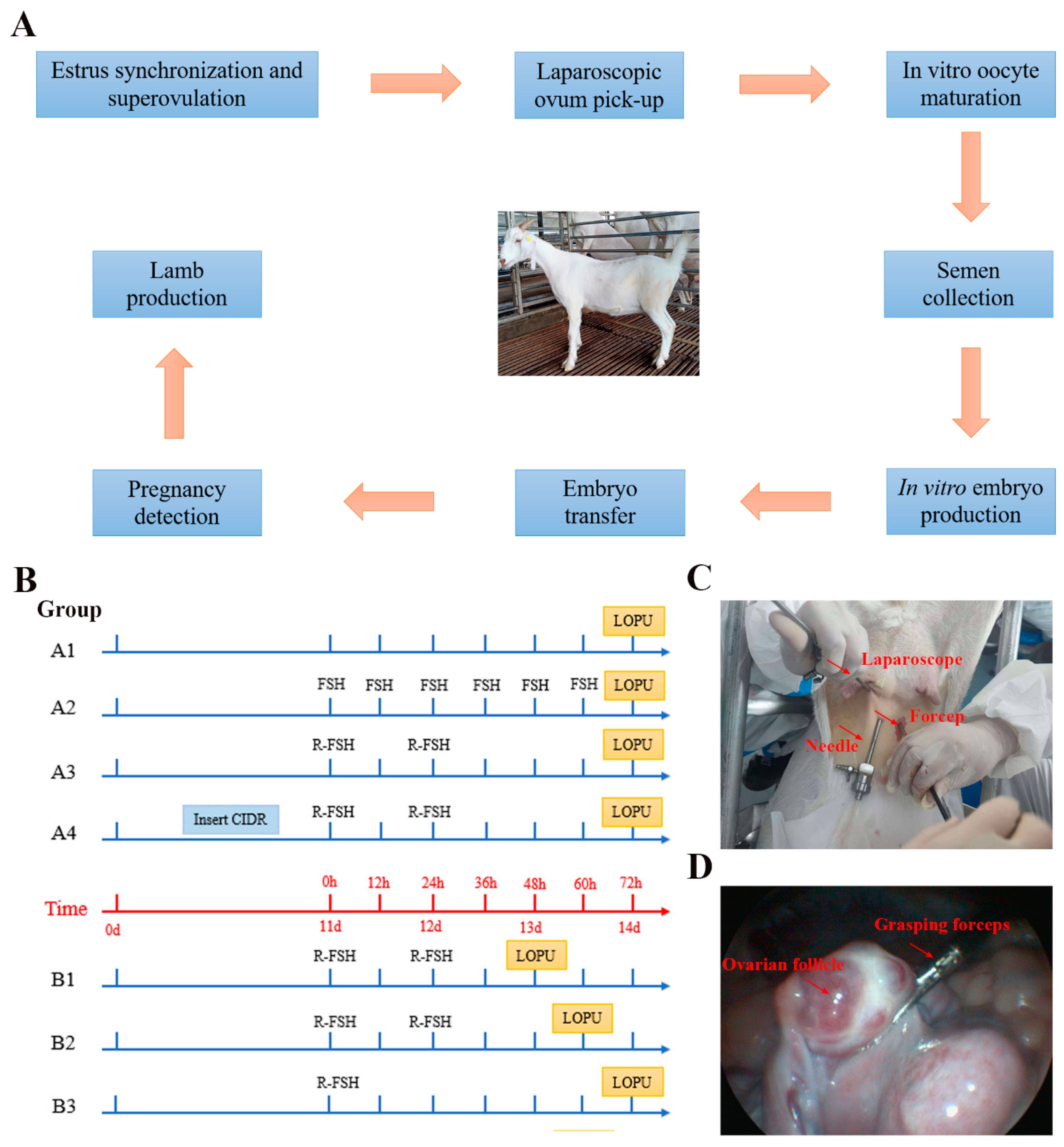 Biology 13 00699 g001 Biology 13 00699 g001