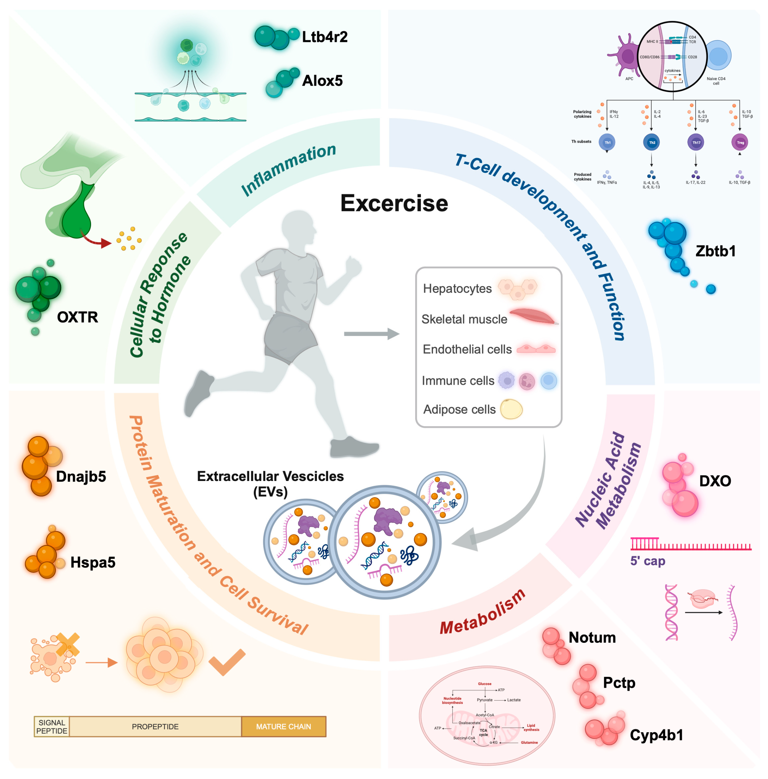 Biology 13 00701 g002 Biology 13 00701 g002