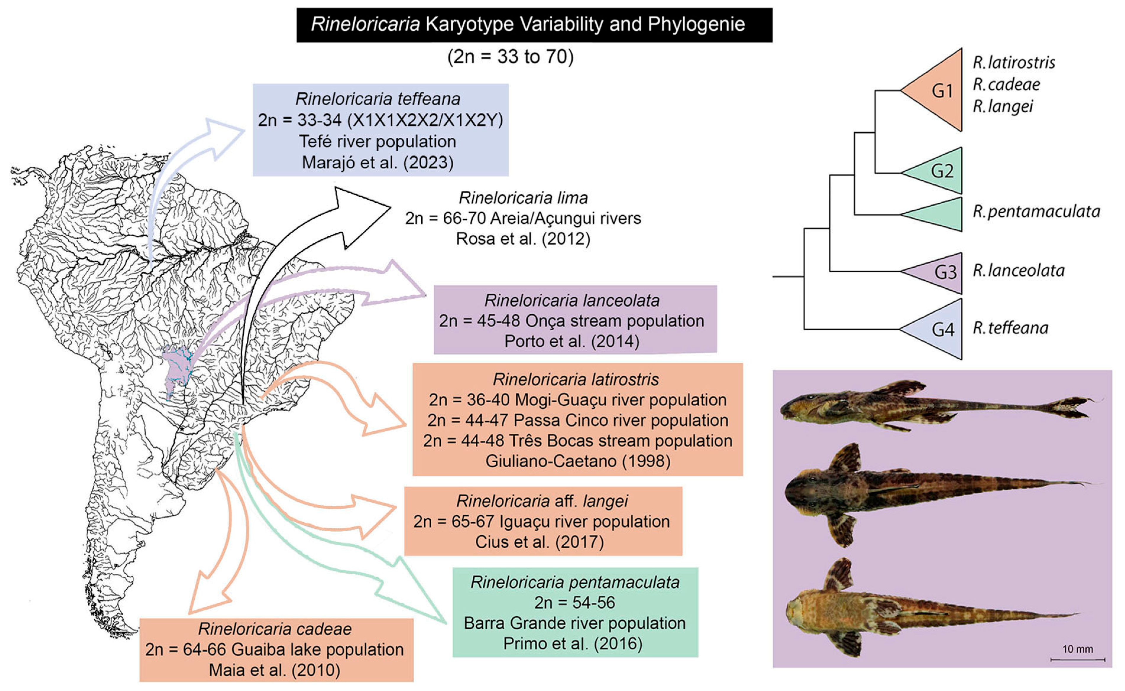 Biology 13 00708 g001