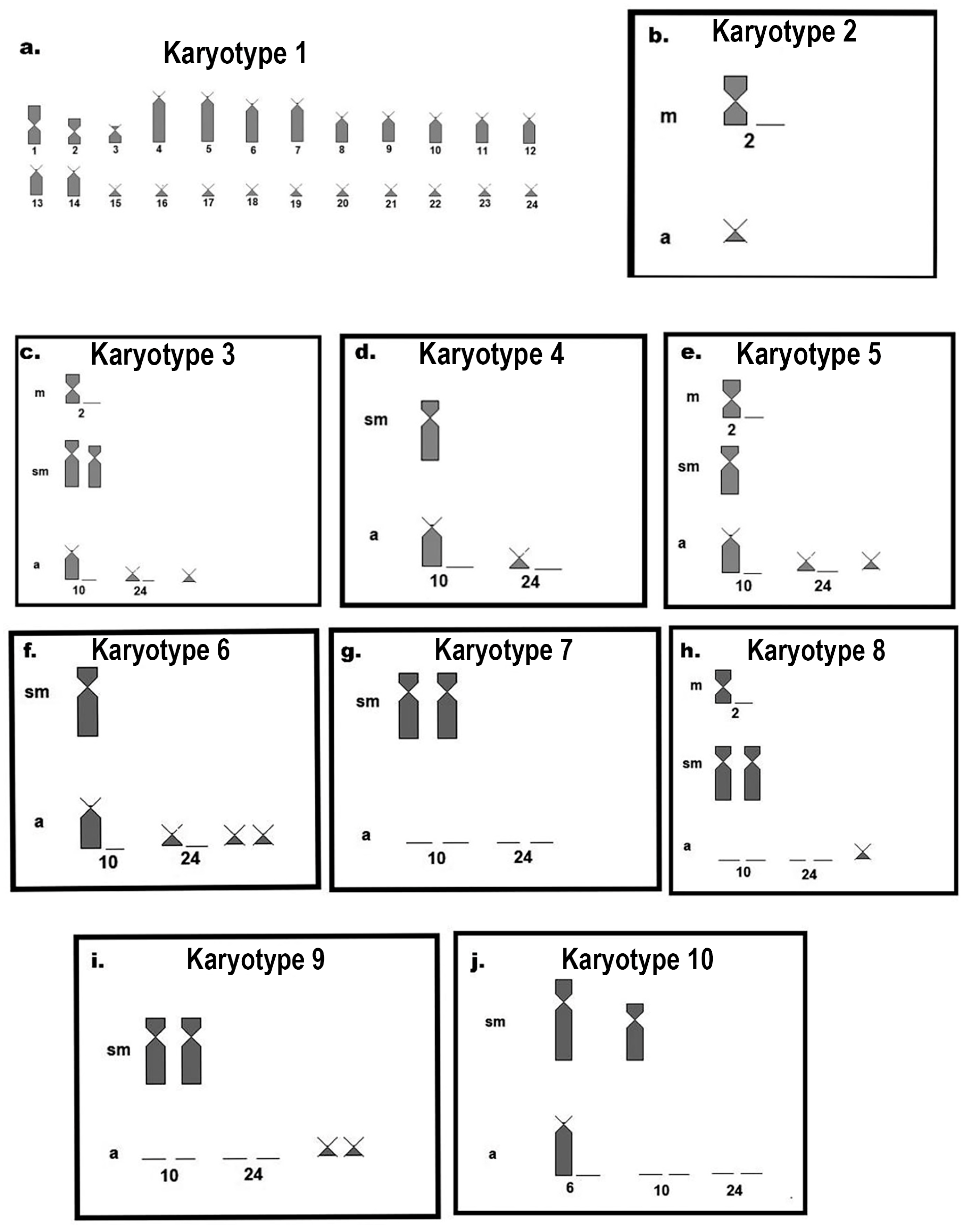 Biology 13 00708 g006