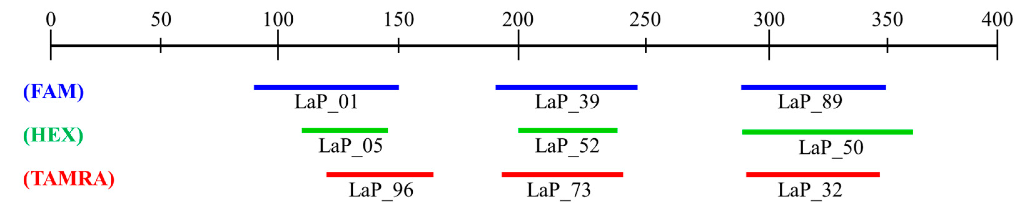 Biology 13 00710 g001