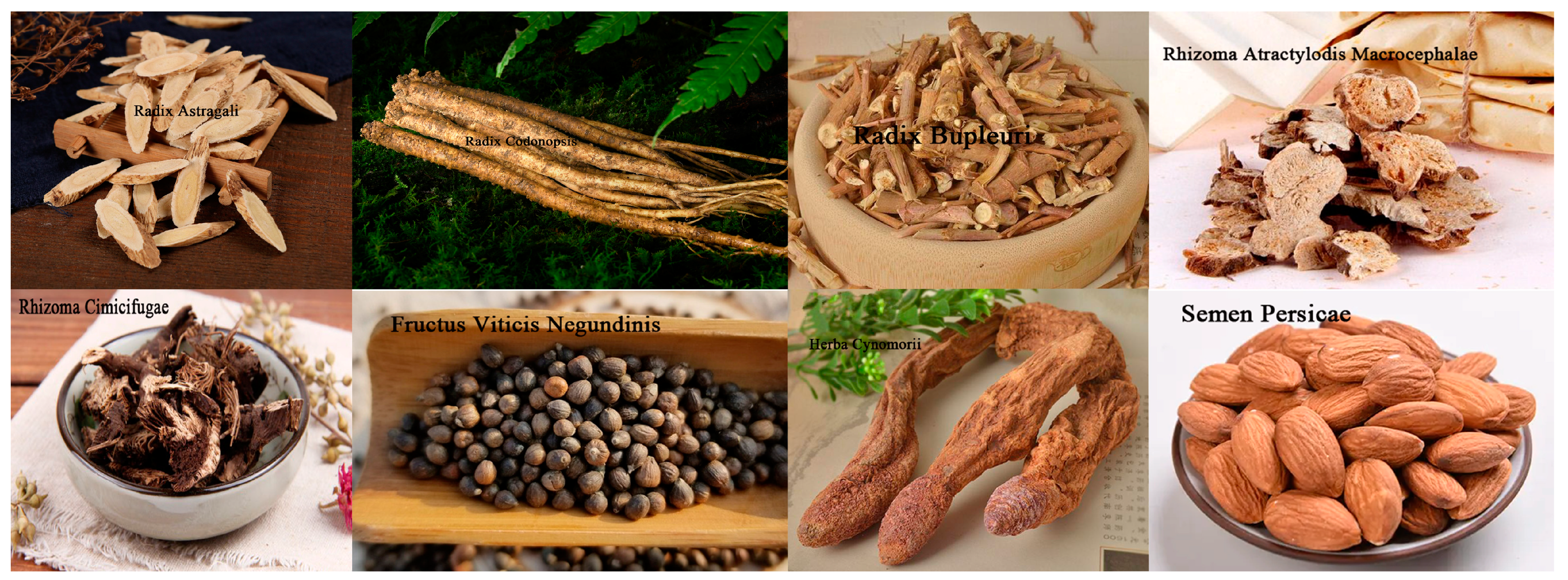 Biology 13 00711 g001 Biology 13 00711 g001