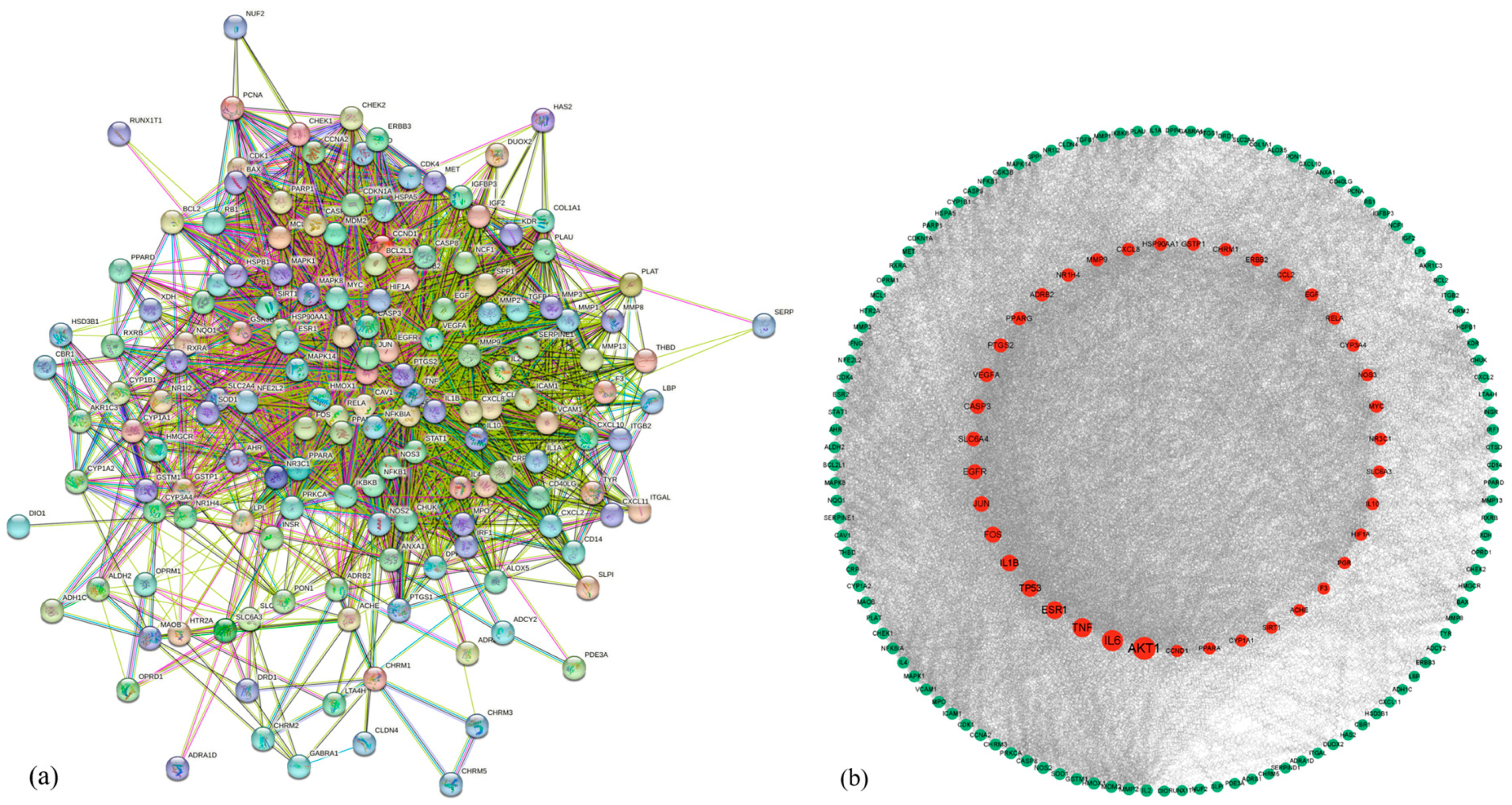 Biology 13 00711 g005 Biology 13 00711 g005