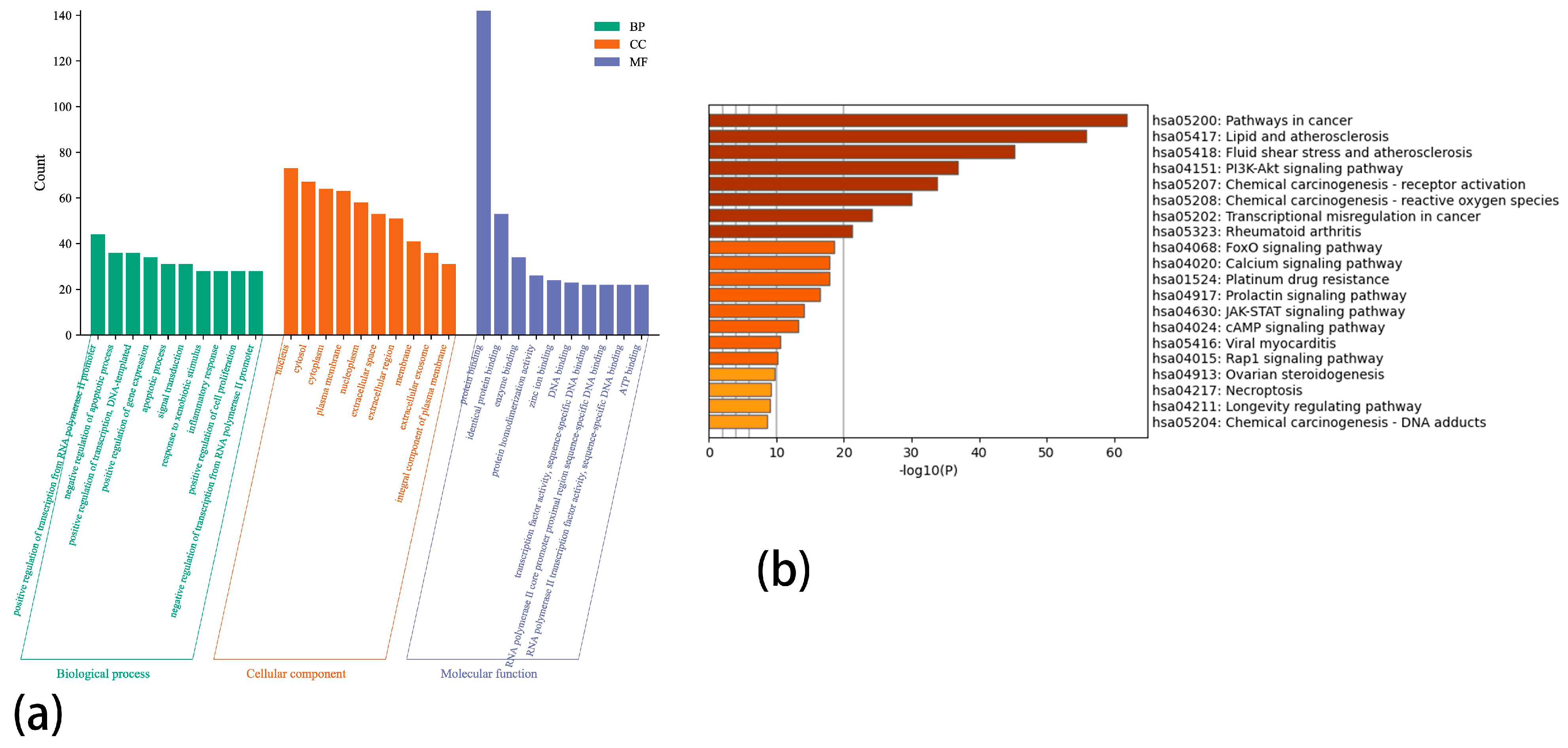 Biology 13 00711 g006 Biology 13 00711 g006
