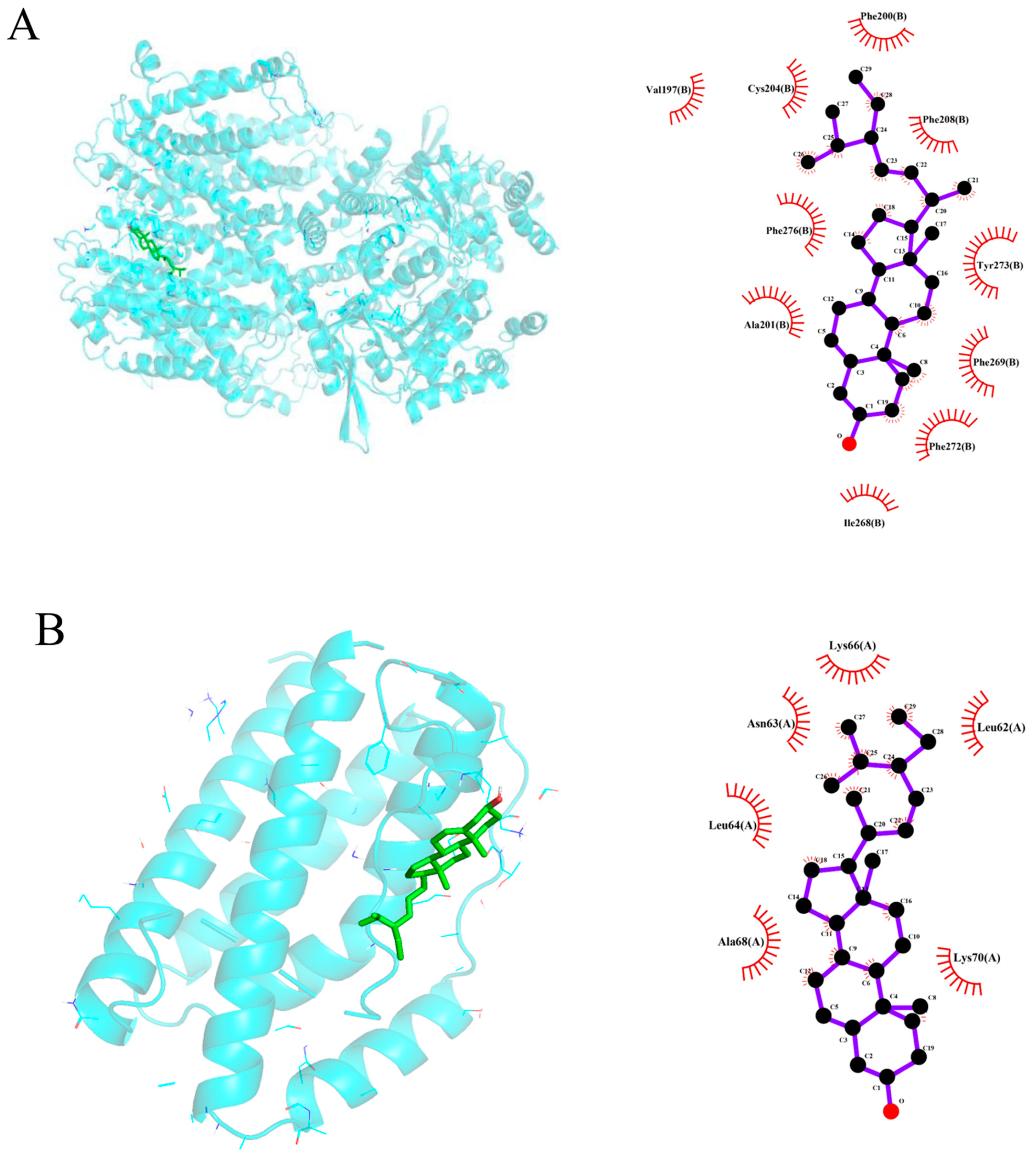 Biology 13 00711 g007a Biology 13 00711 g007a