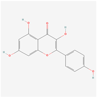 Biology 13 00711 i002 Biology 13 00711 i002