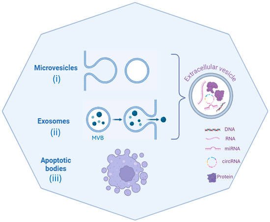 Extracellular Vesicles: Diagnostic and Therapeutic Applications in