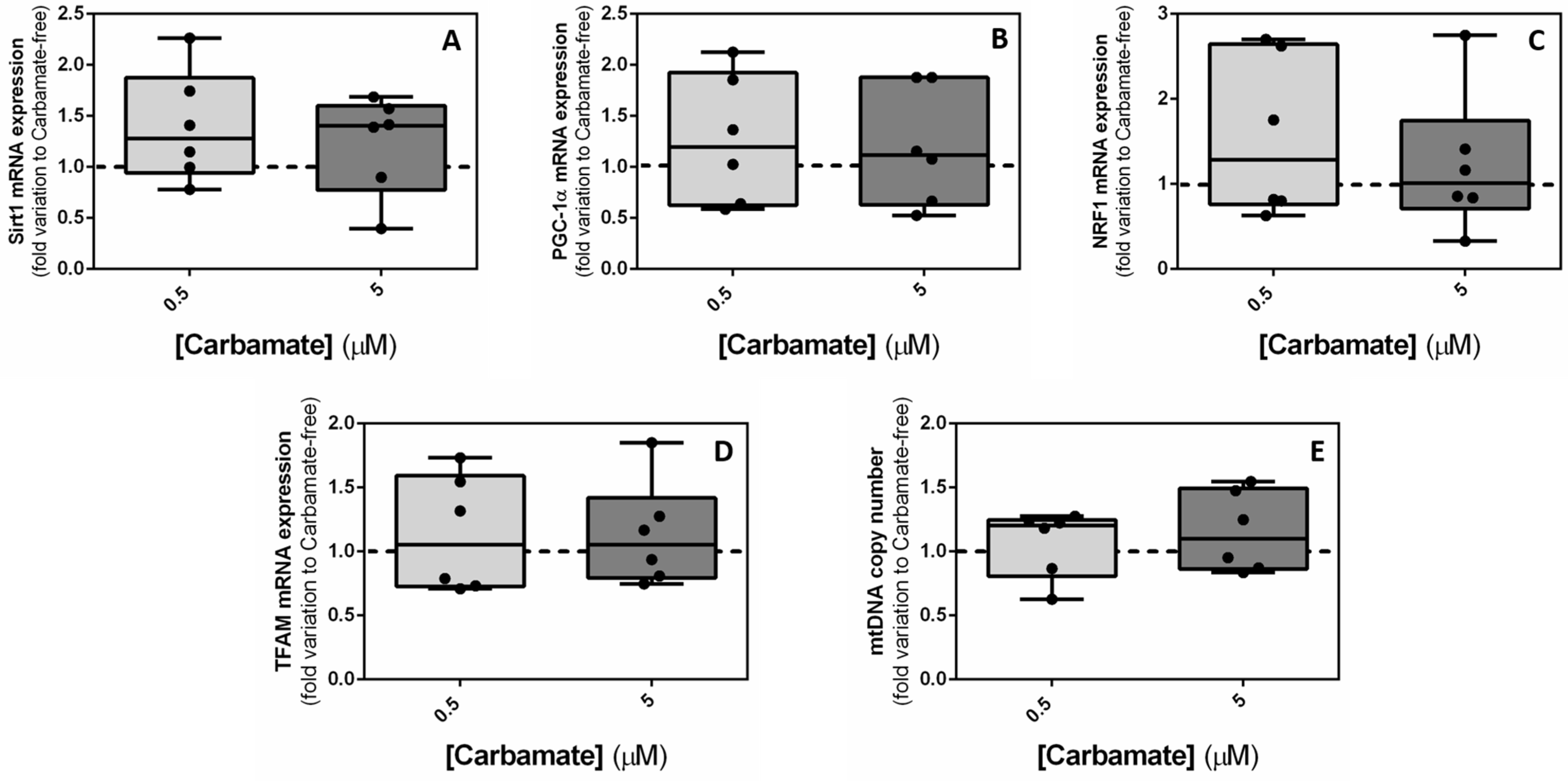 Biology 13 00721 g004 Biology 13 00721 g004