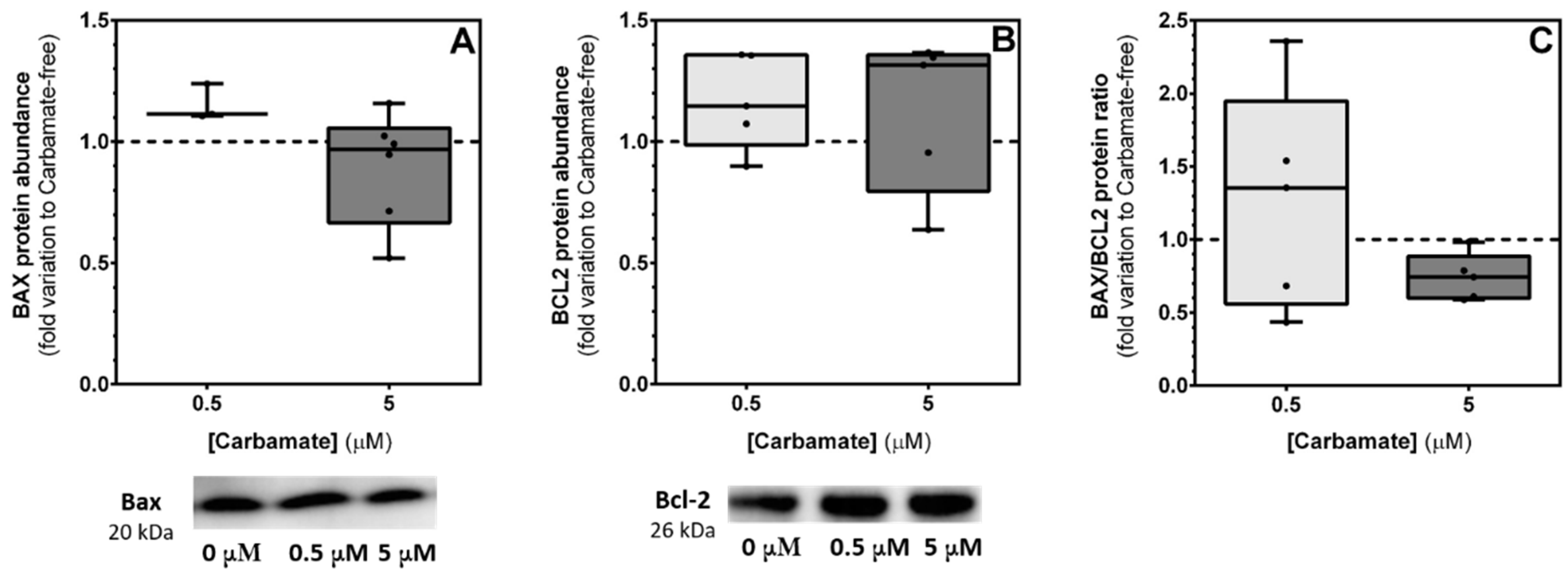 Biology 13 00721 g006 Biology 13 00721 g006