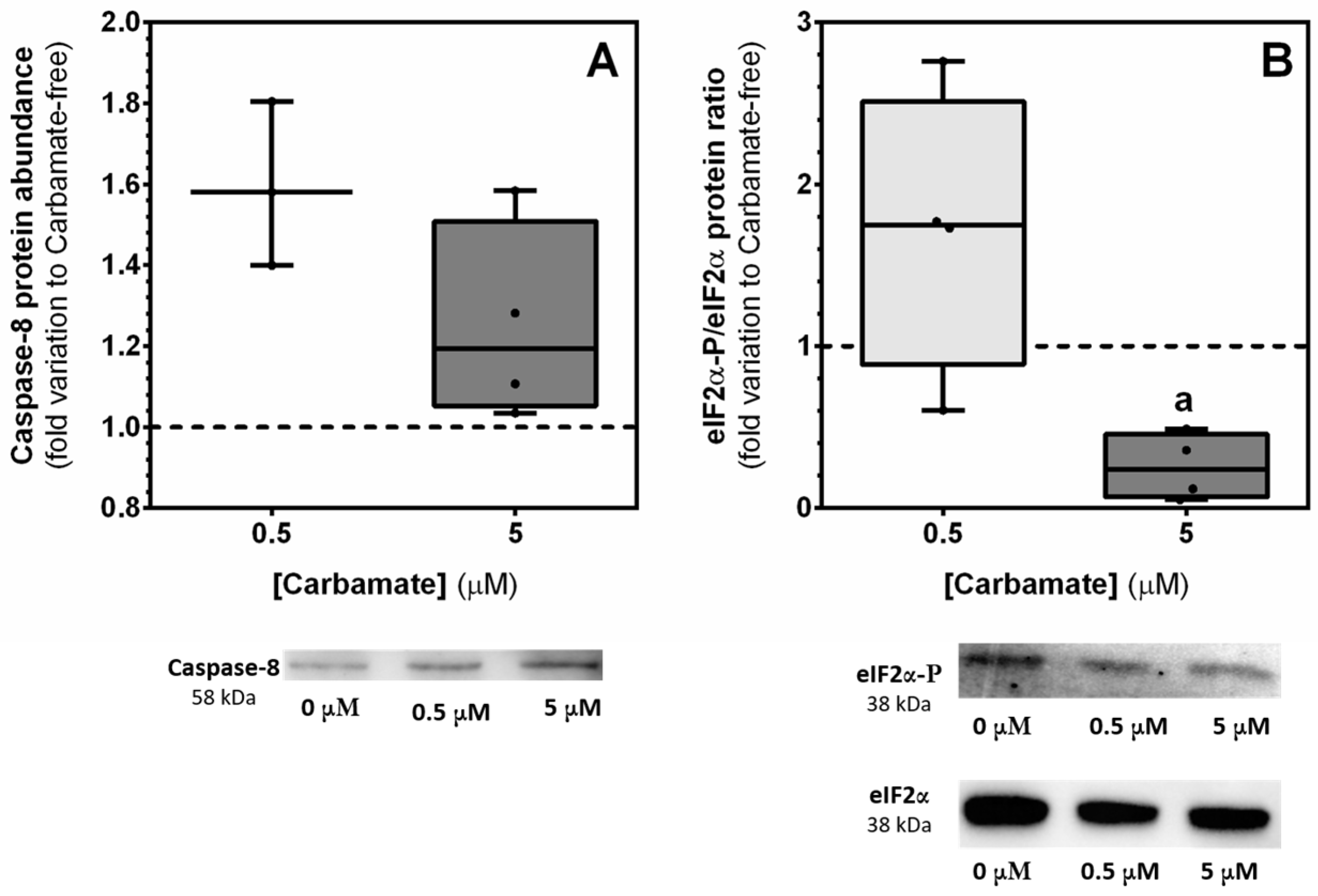 Biology 13 00721 g007 Biology 13 00721 g007