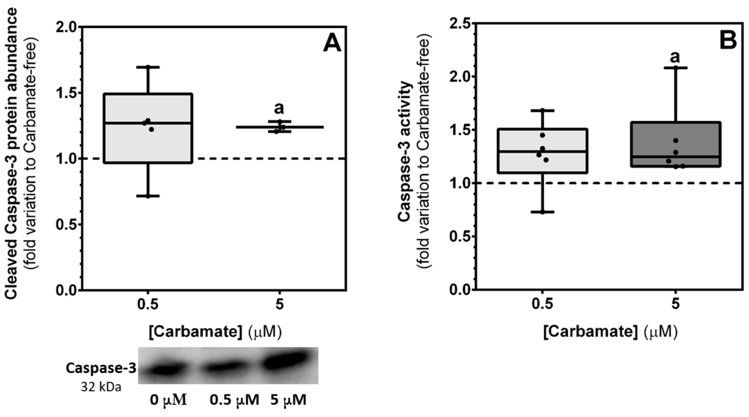 Biology 13 00721 g008 Biology 13 00721 g008