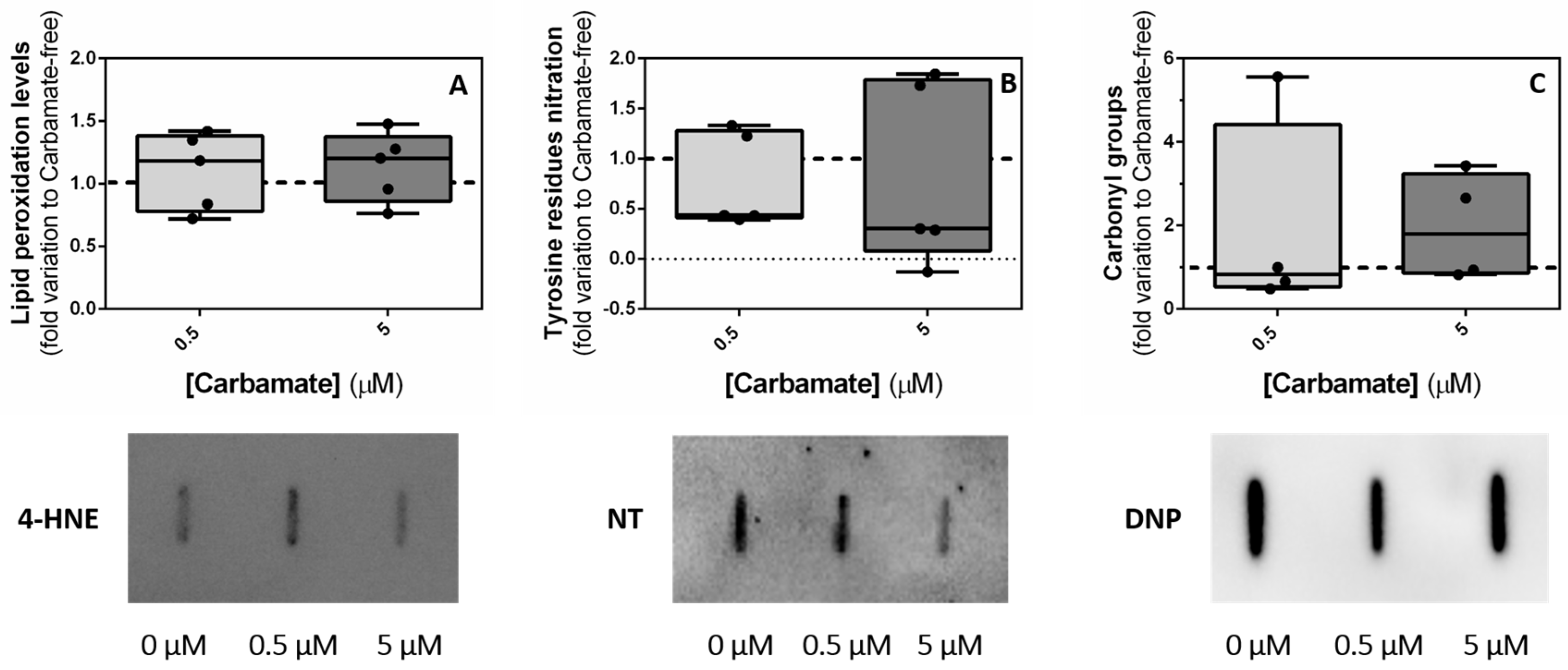 Biology 13 00721 g009 Biology 13 00721 g009