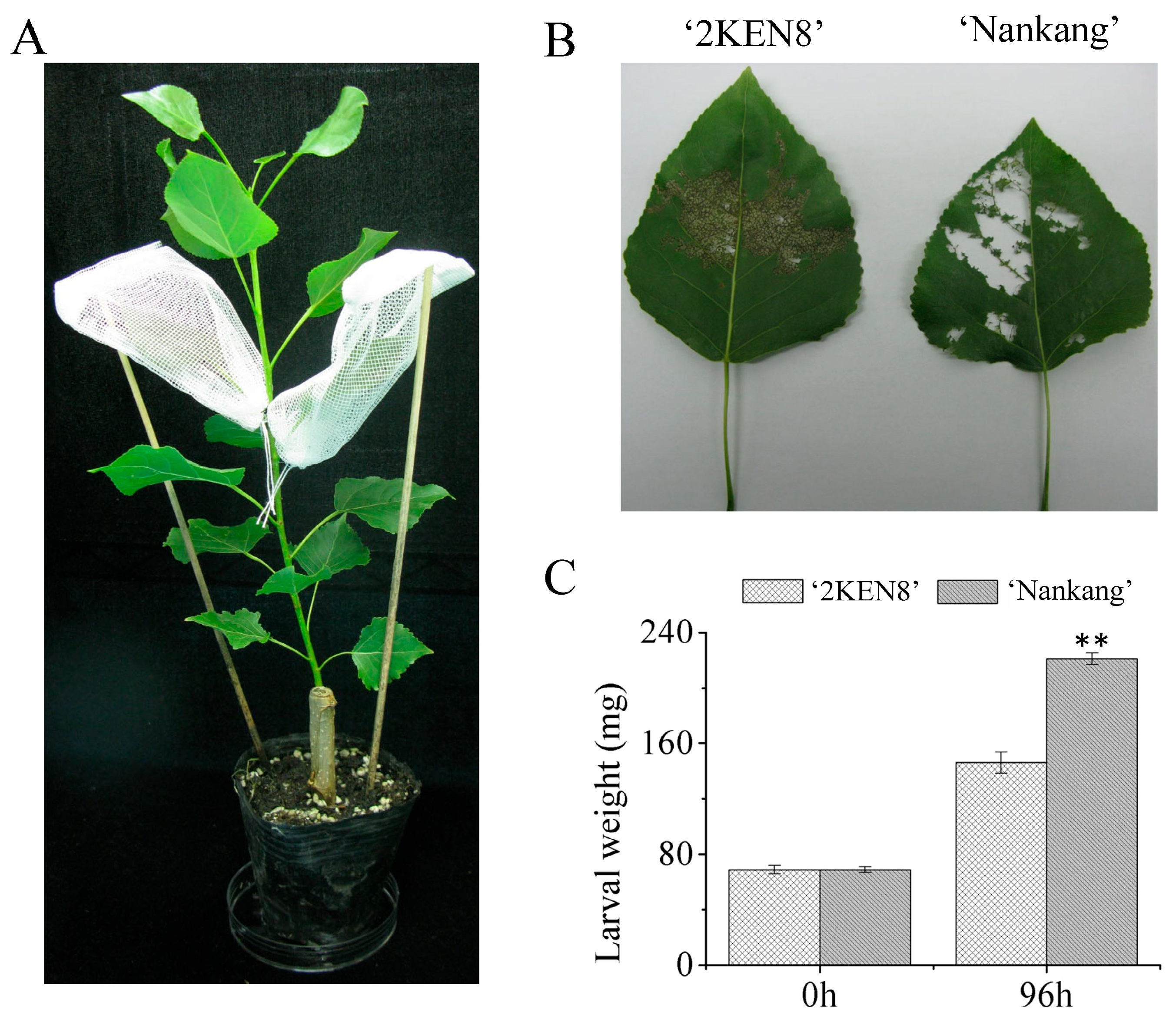 Biology 13 00723 g001