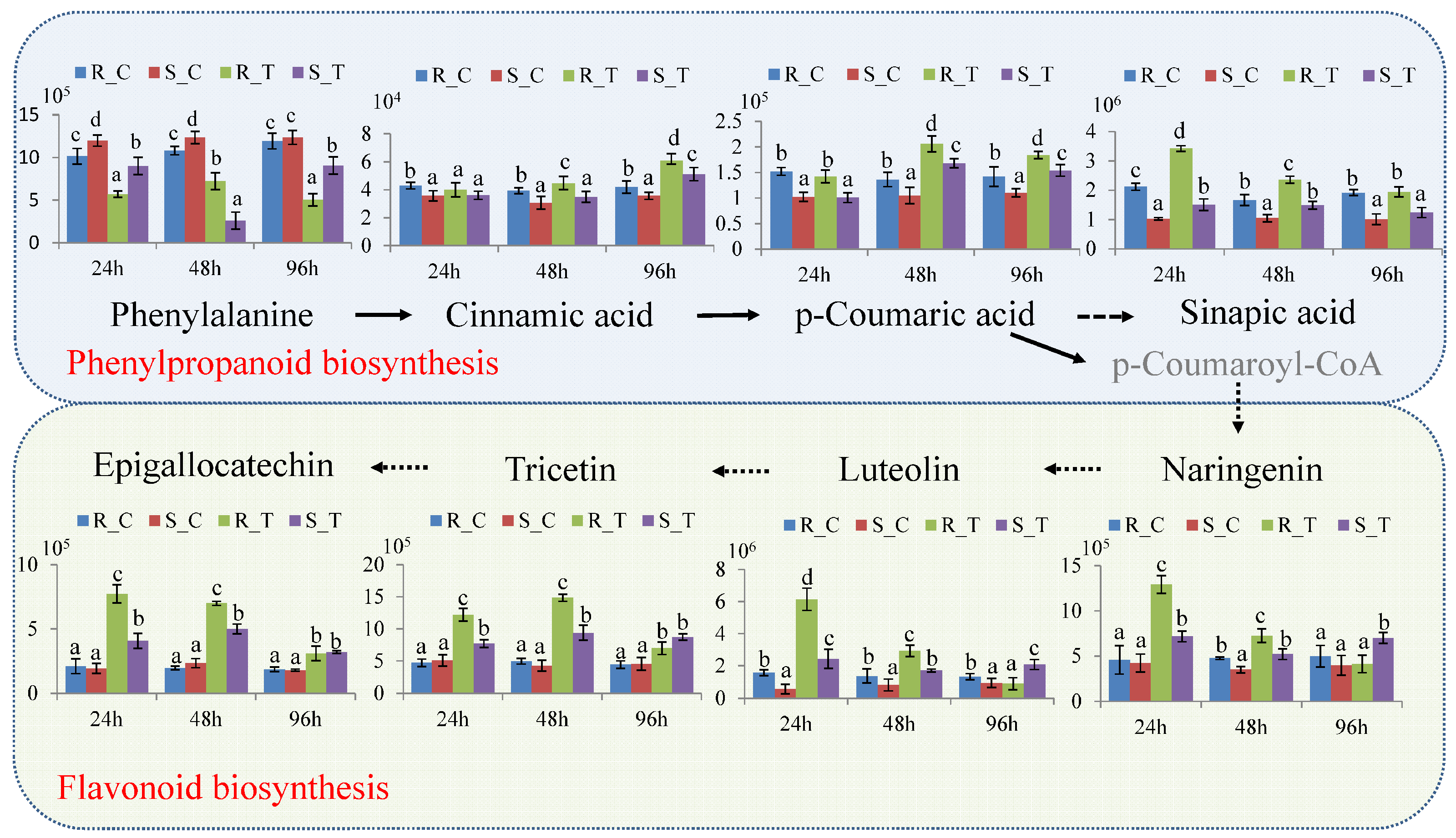 Biology 13 00723 g005