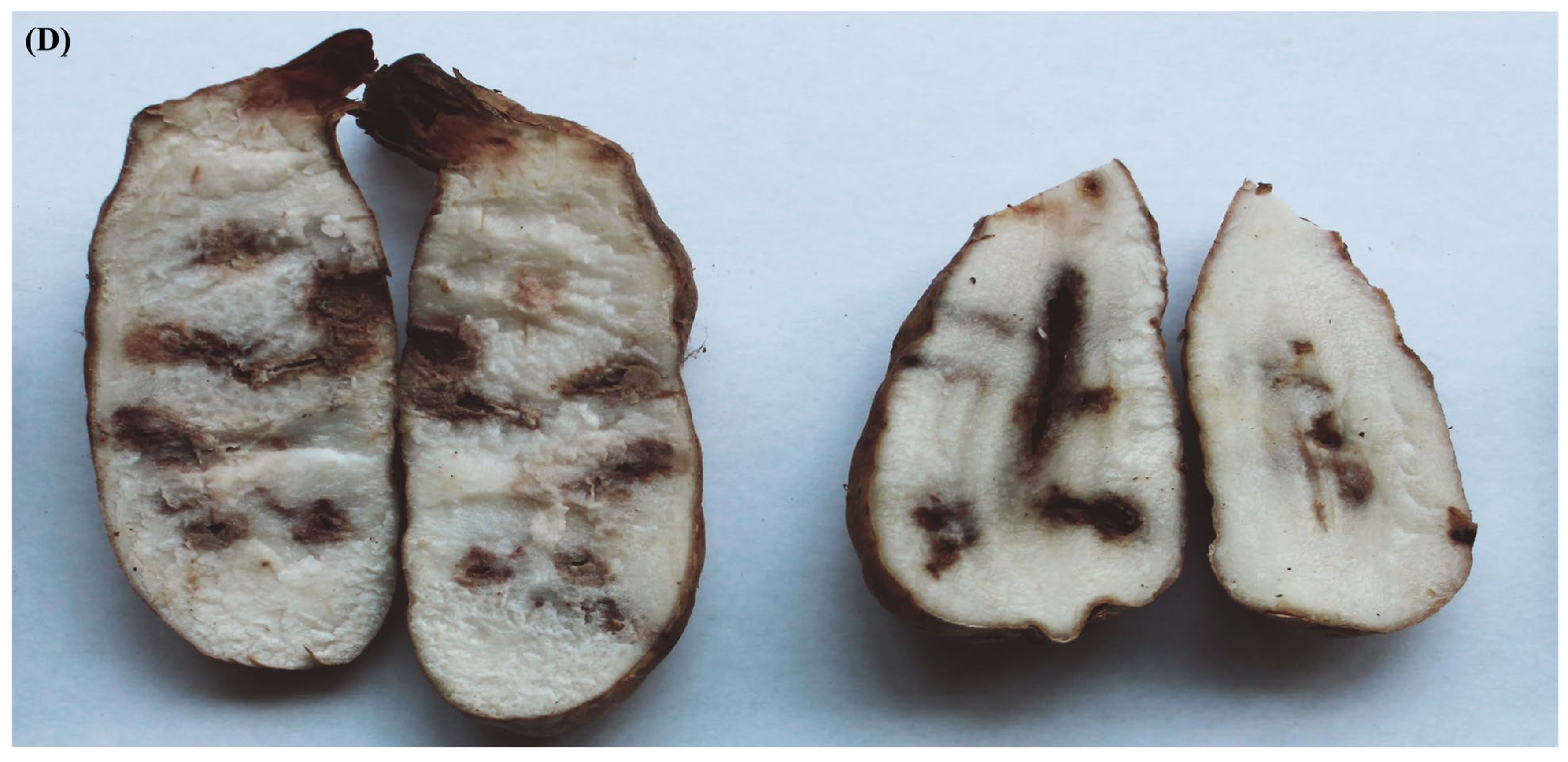 Biology 13 00730 g001b Biology 13 00730 g001b