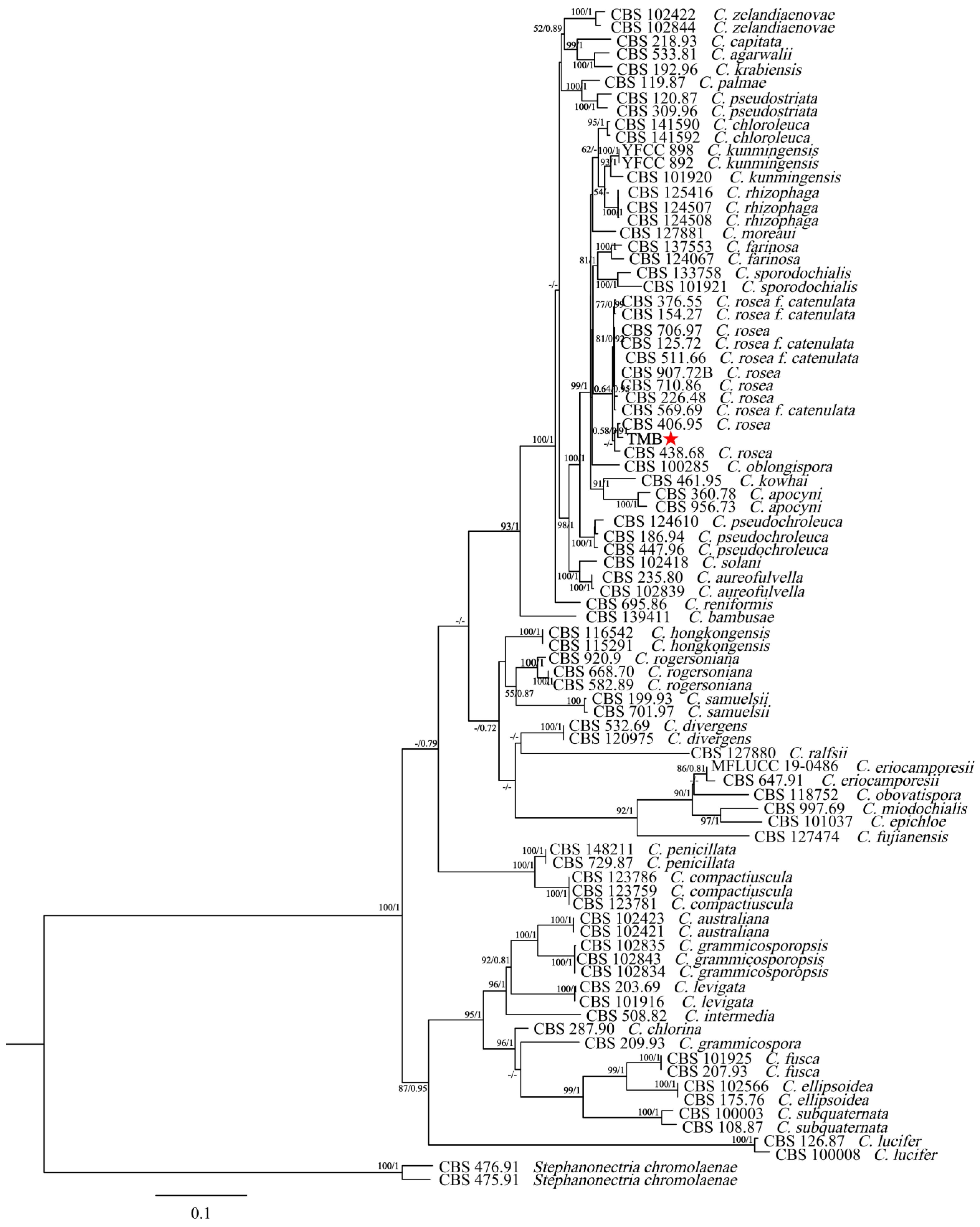 Biology 13 00730 g003 Biology 13 00730 g003