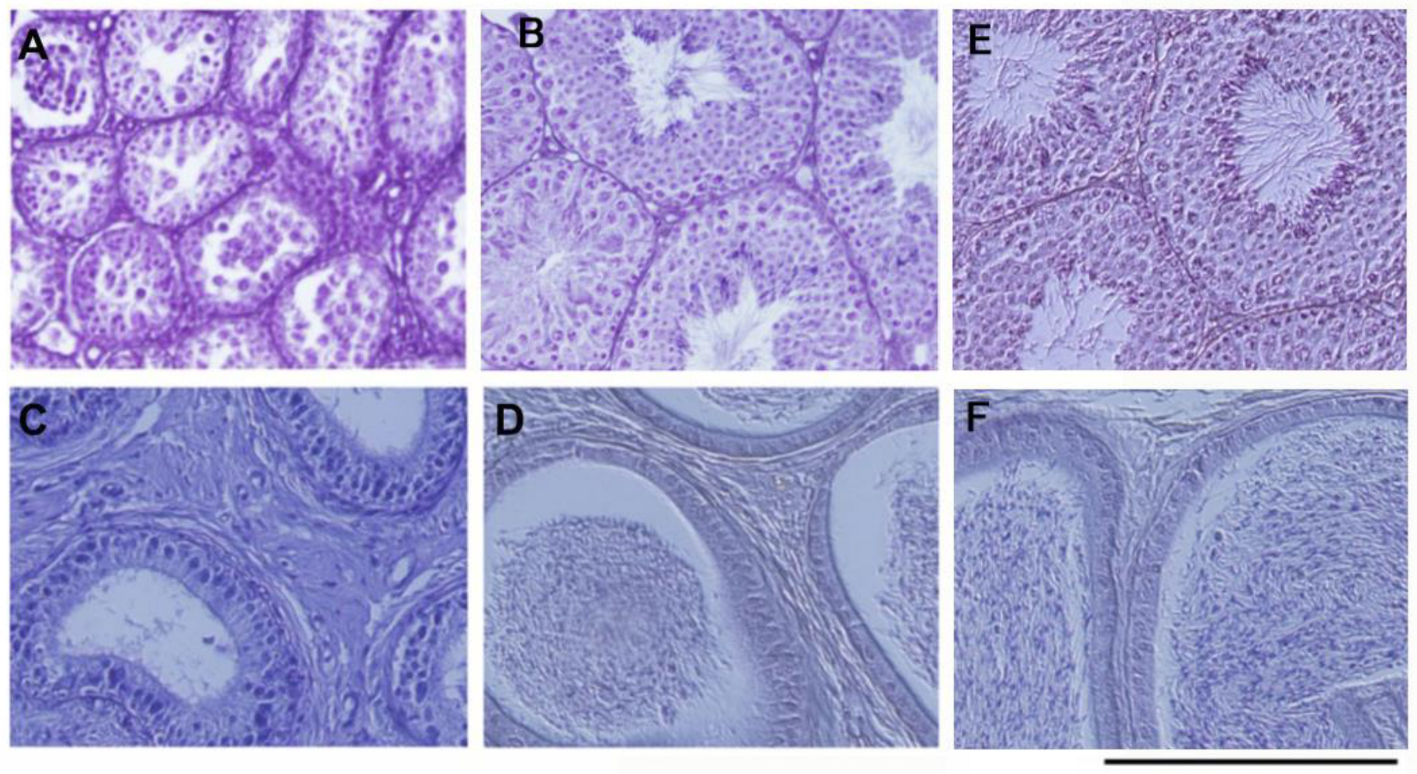 Biology 13 00736 g005