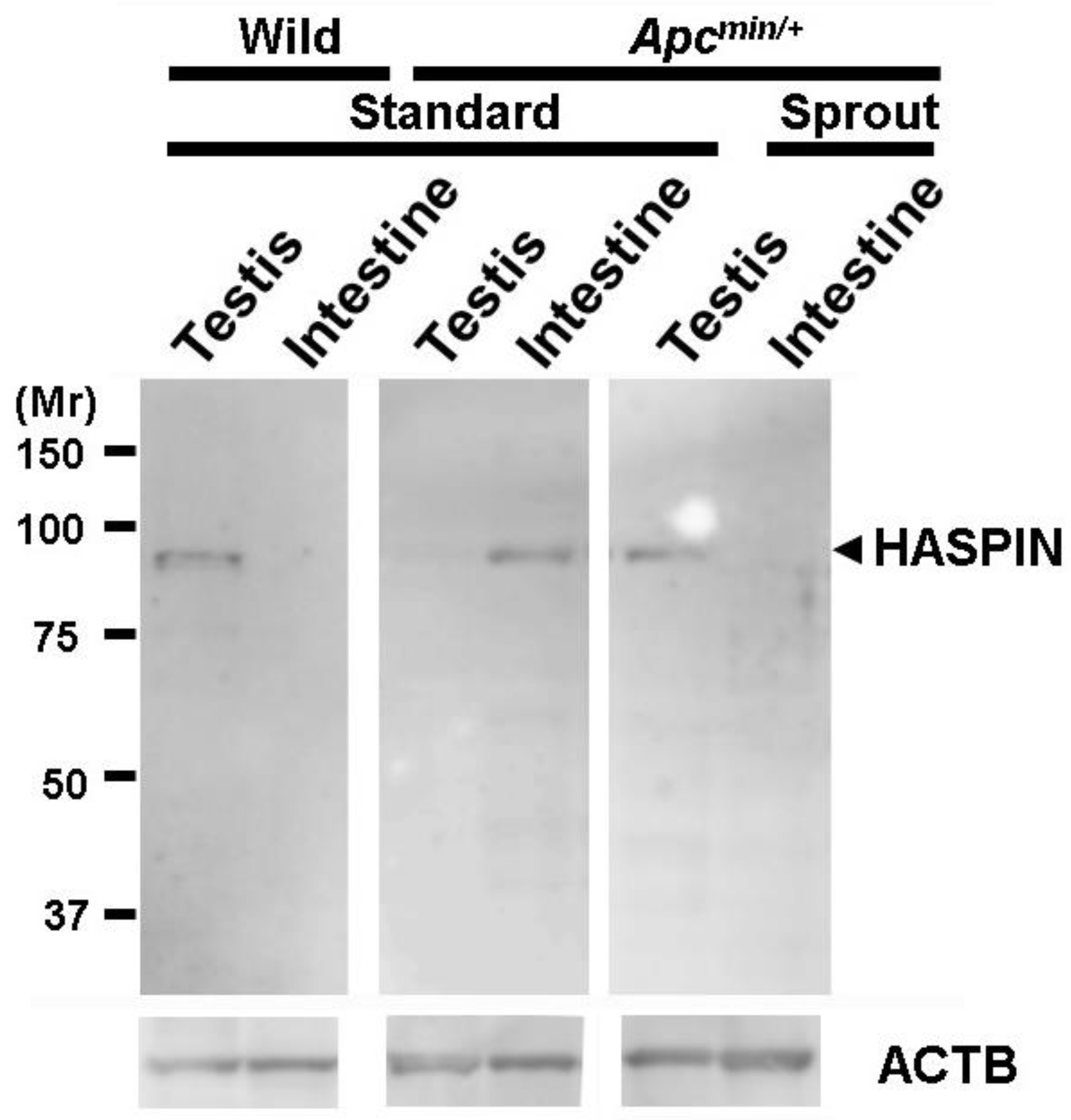 Biology 13 00736 g006