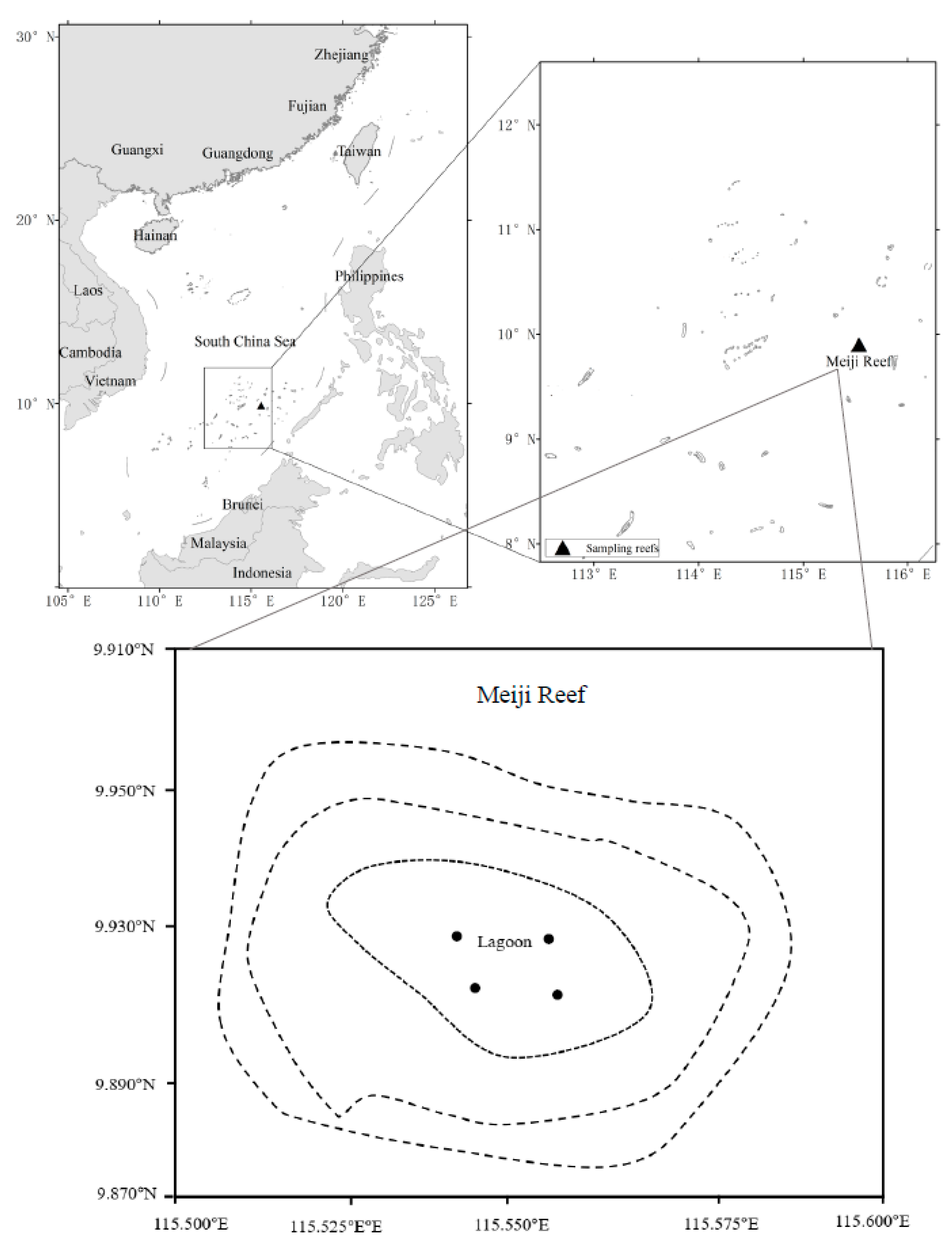 Biology 13 00740 g001