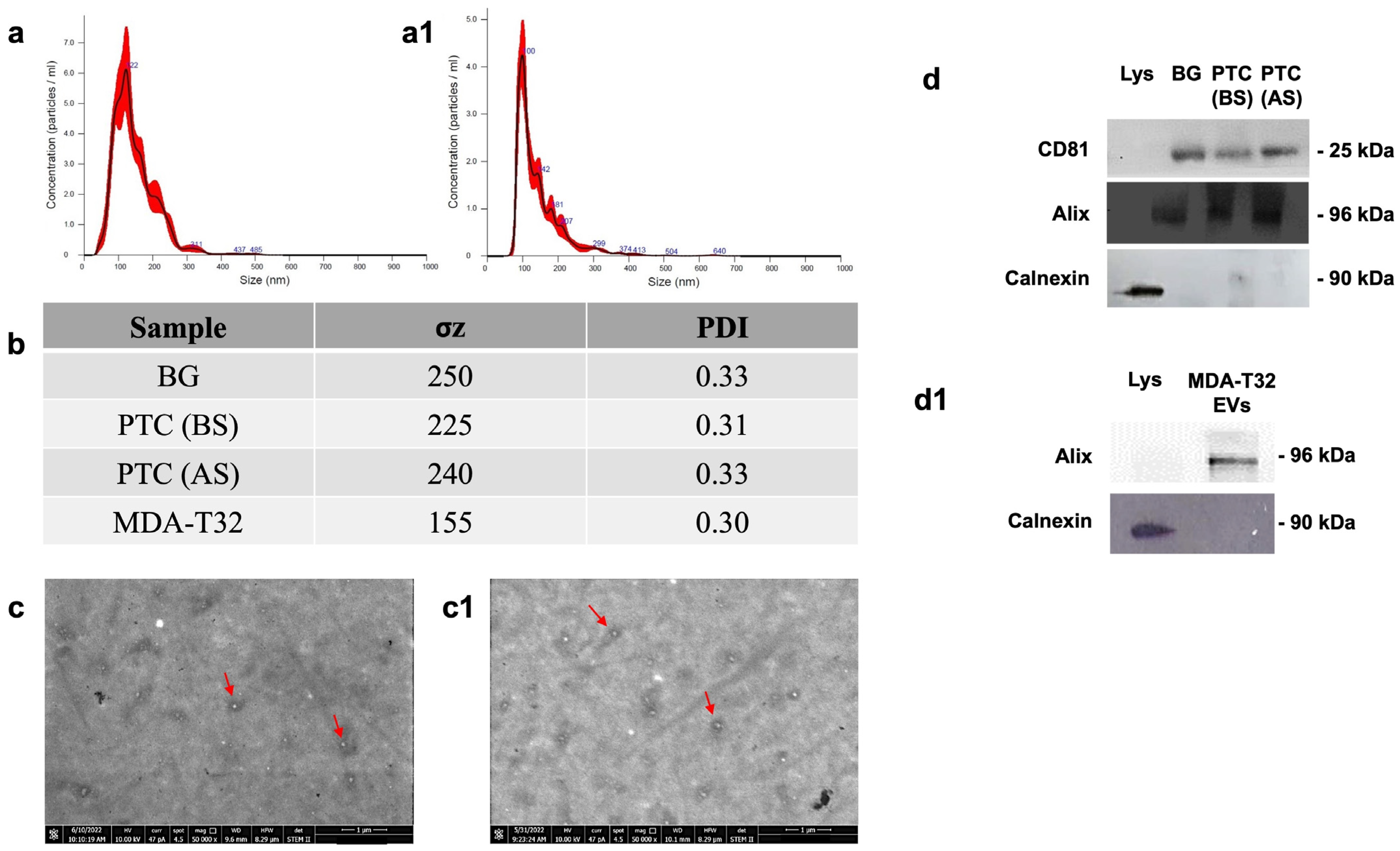 Biology 13 00743 g001