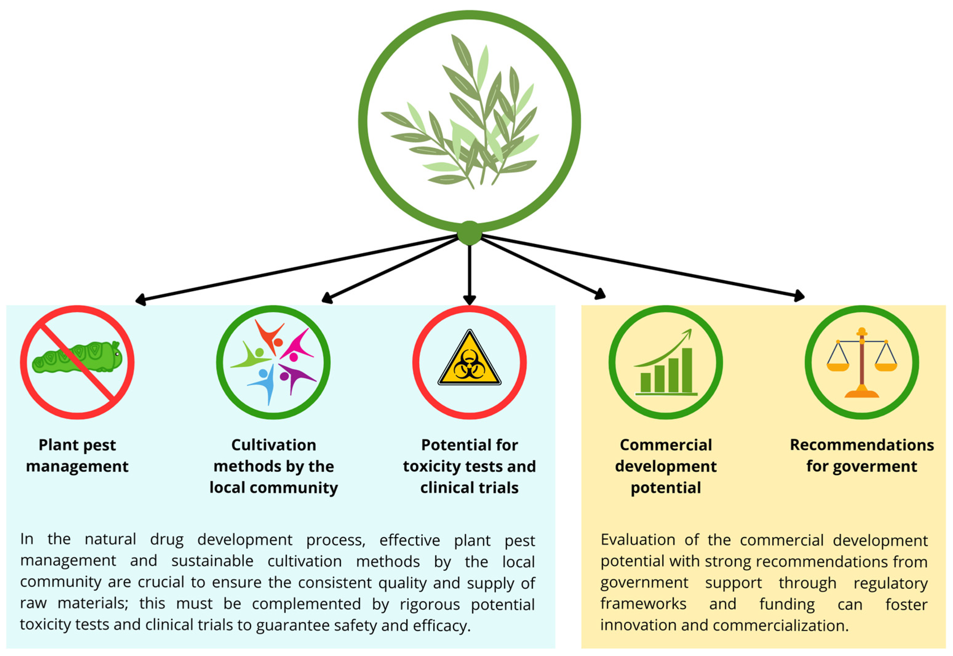 Biology 13 00744 g002