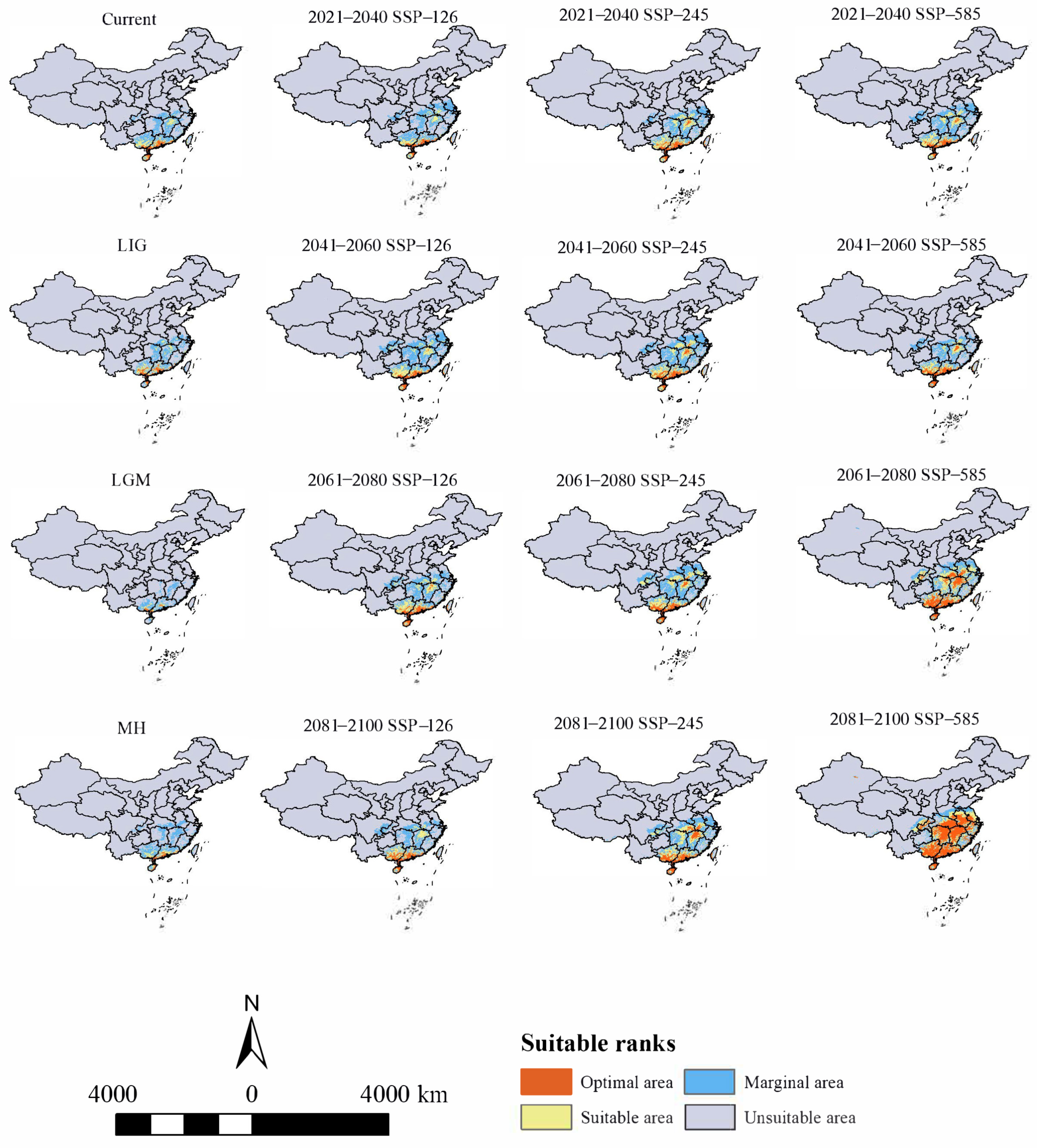 Biology 13 00745 g004
