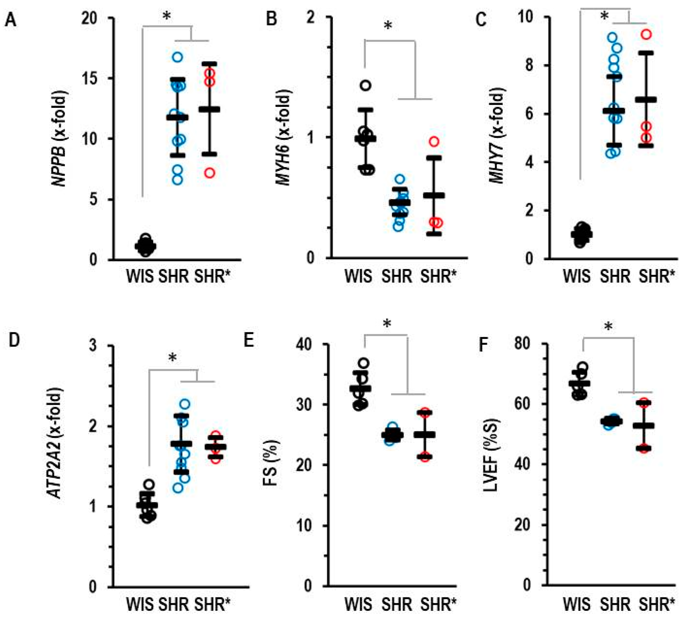 Biology 13 00752 g002 Biology 13 00752 g002