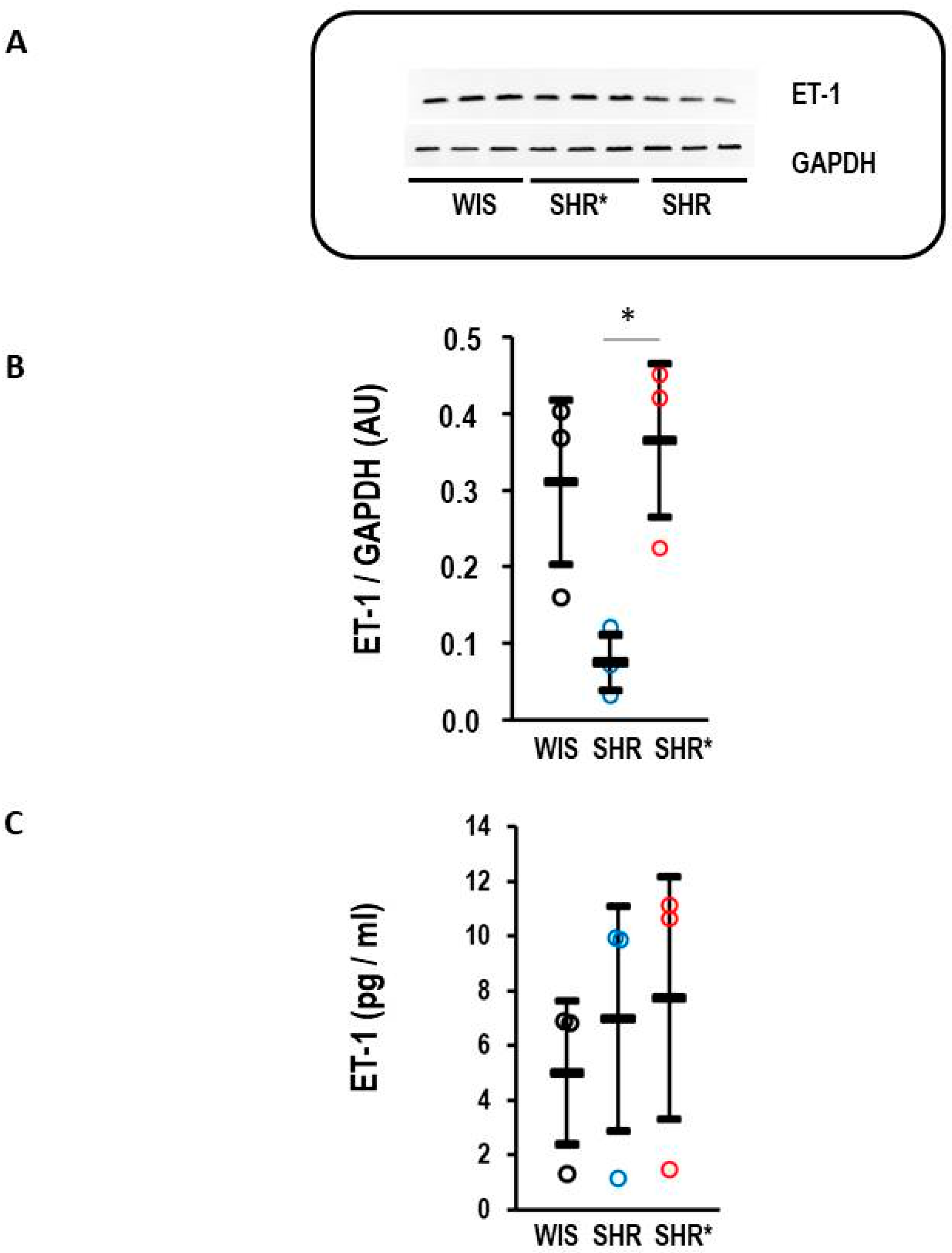 Biology 13 00752 g005 Biology 13 00752 g005