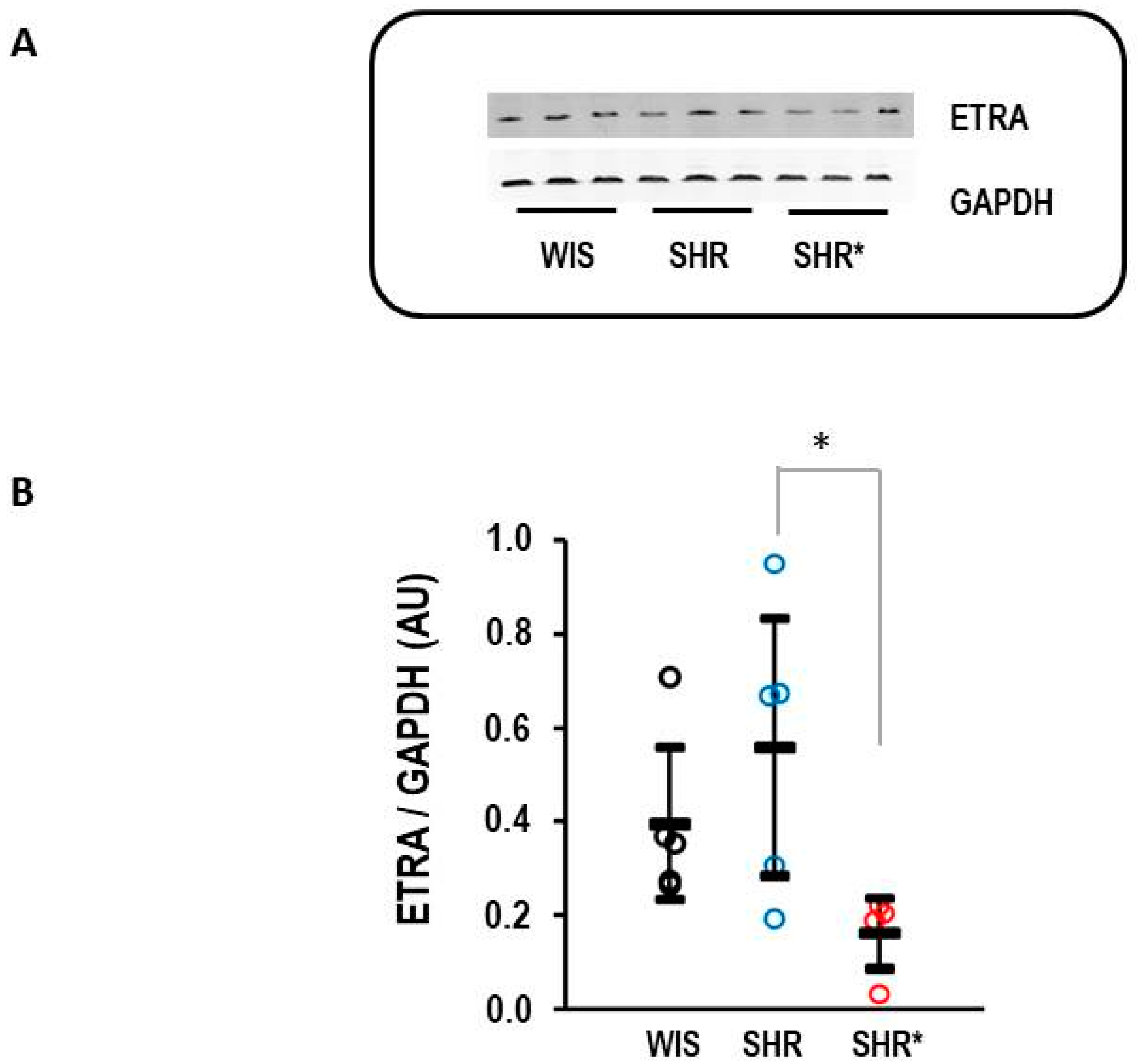 Biology 13 00752 g007 Biology 13 00752 g007