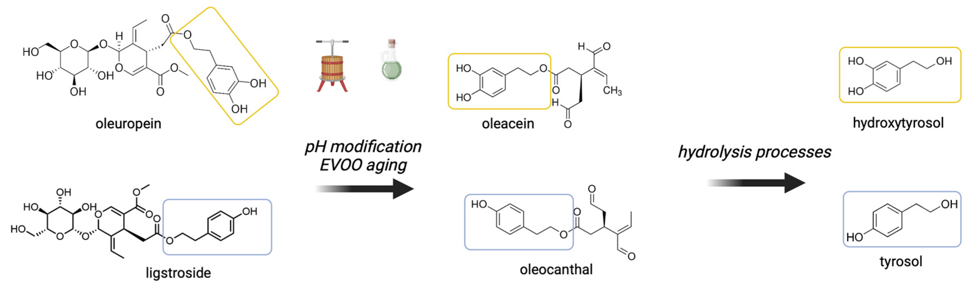 Biology 13 00760 g001