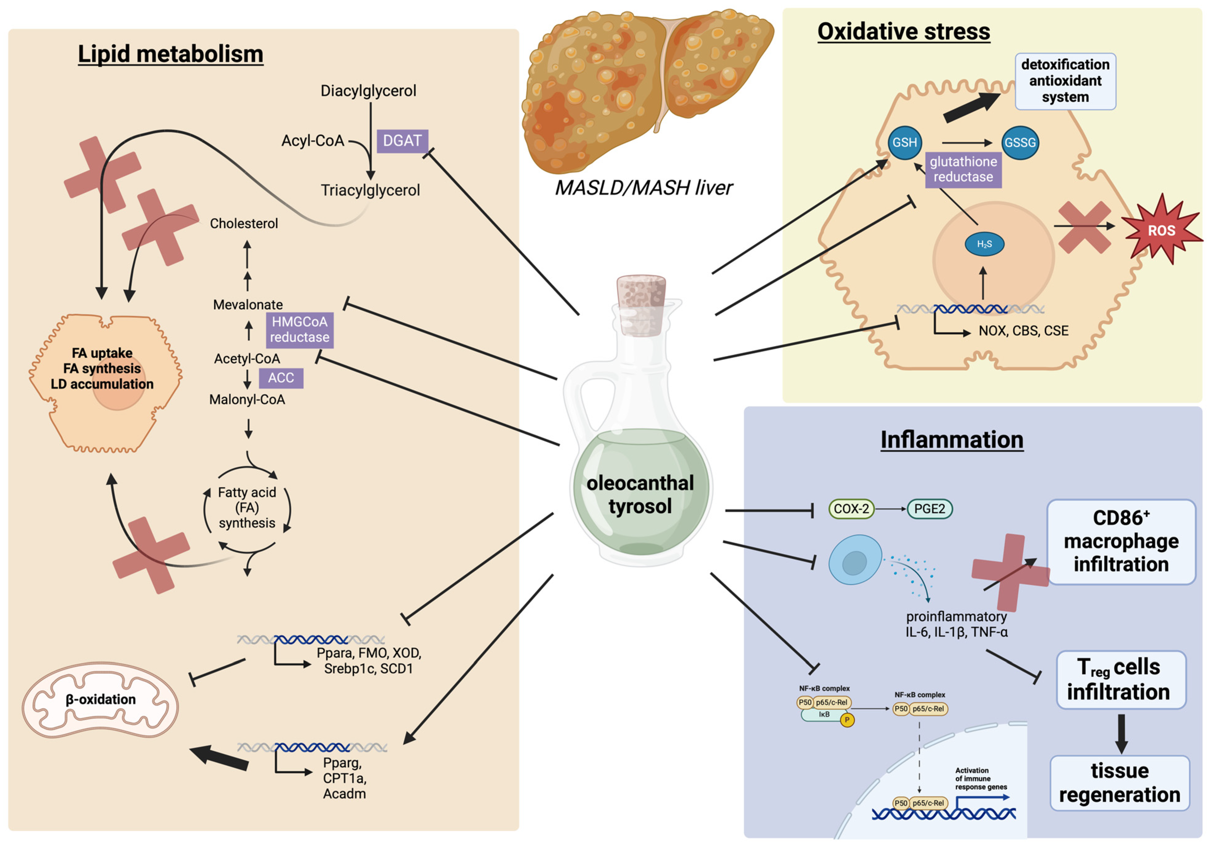 Biology 13 00760 g002