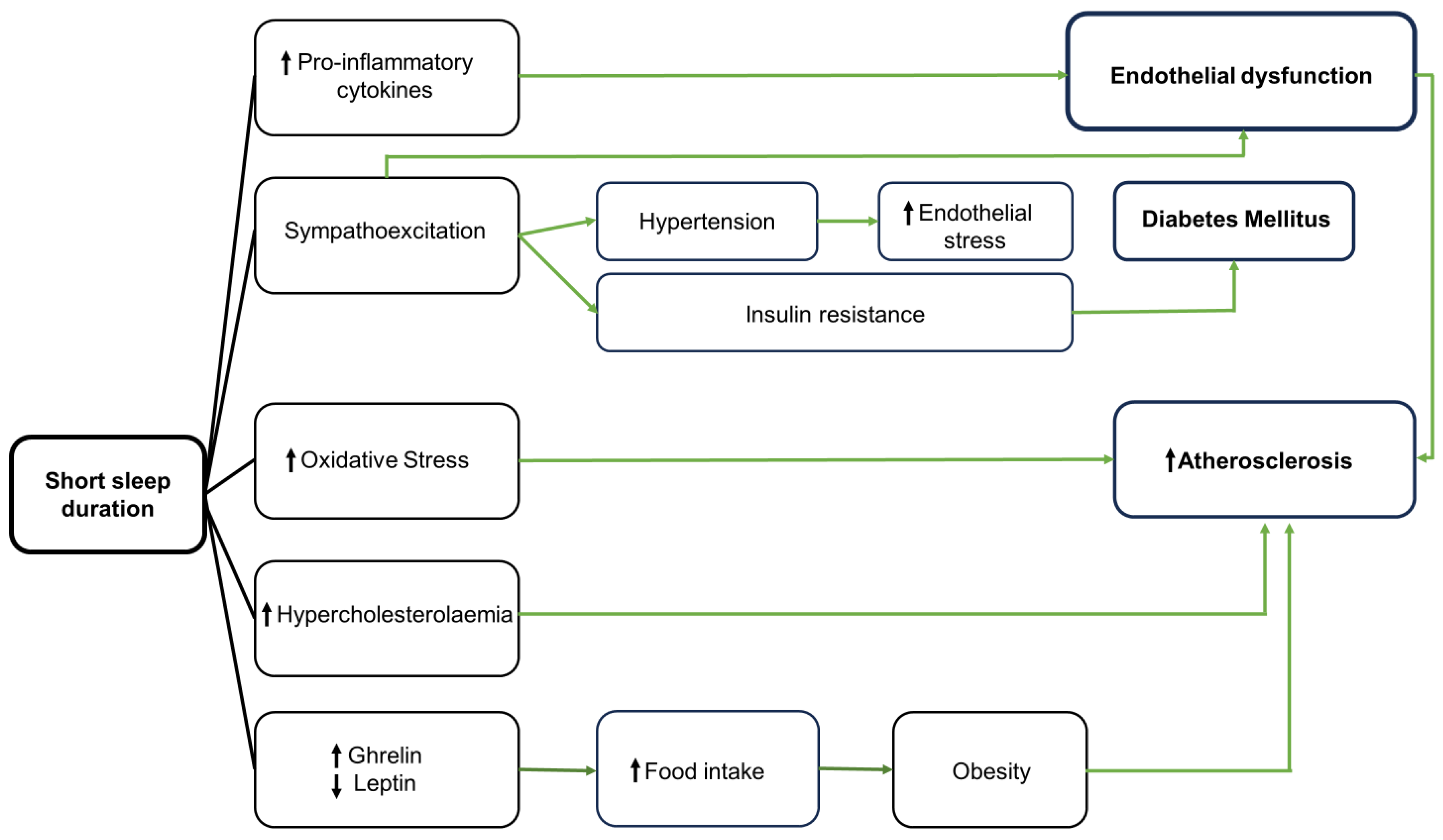 Biology 13 00761 g0a1 Biology 13 00761 g0a1