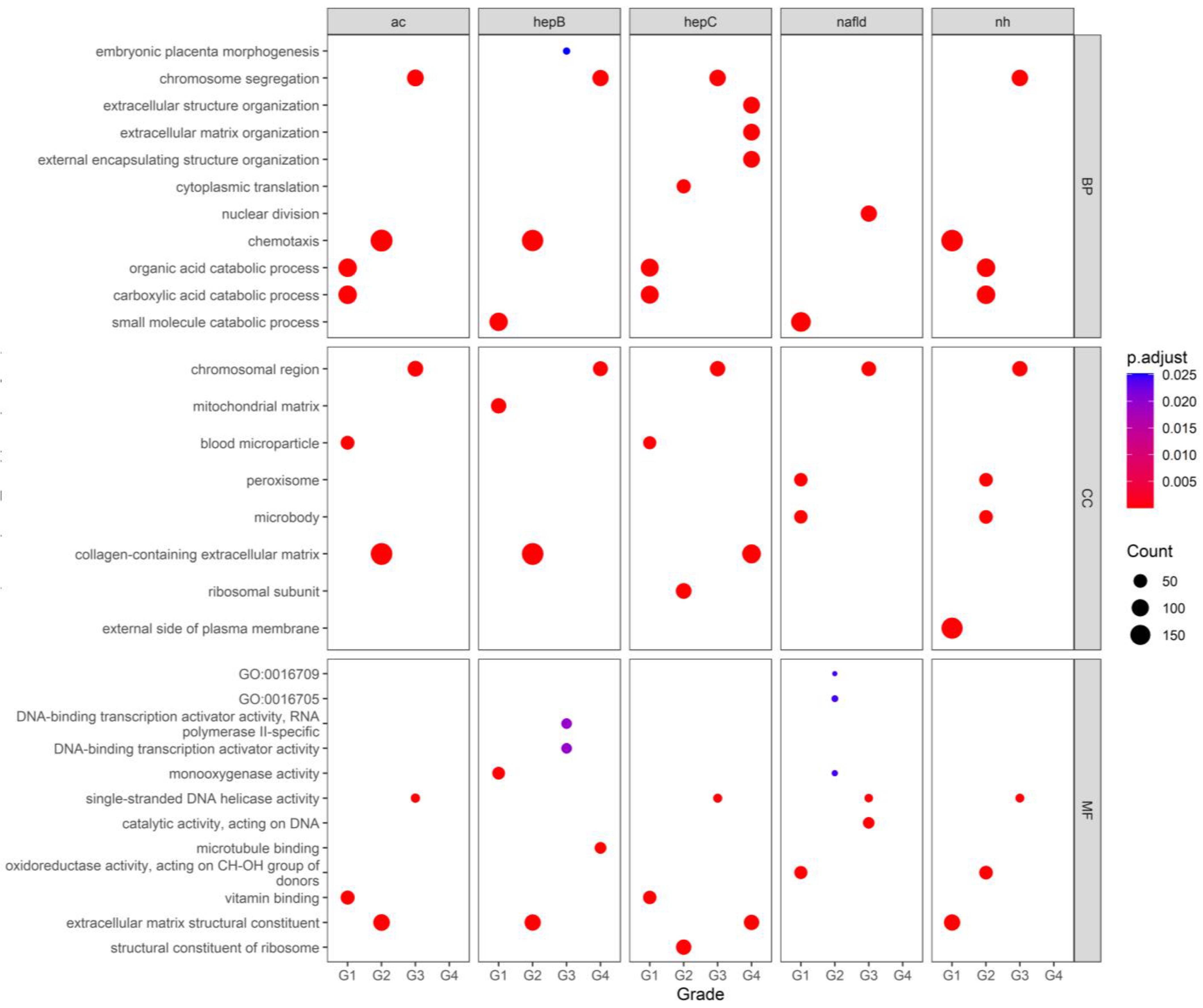 Biology 13 00765 g003