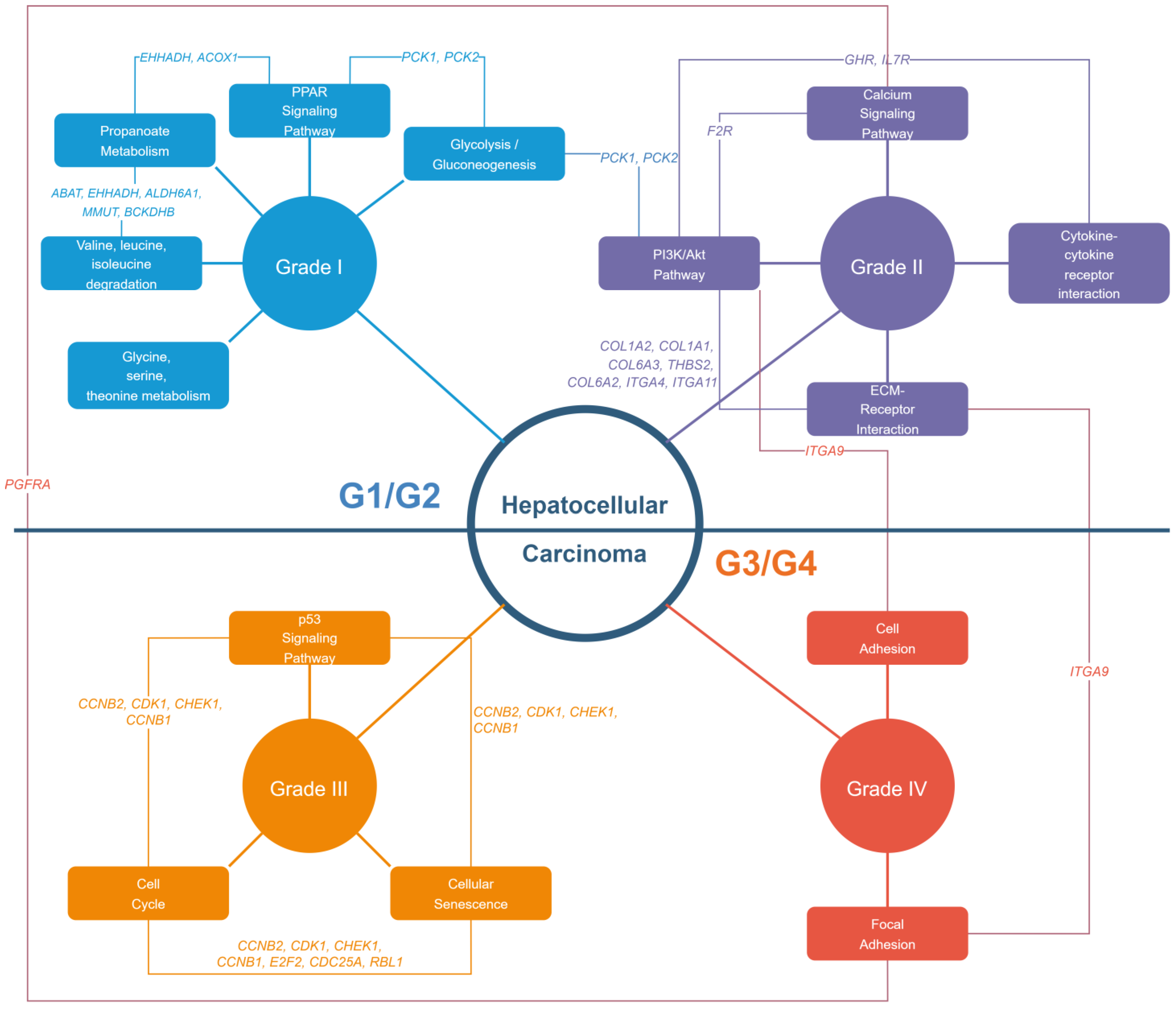Biology 13 00765 g008