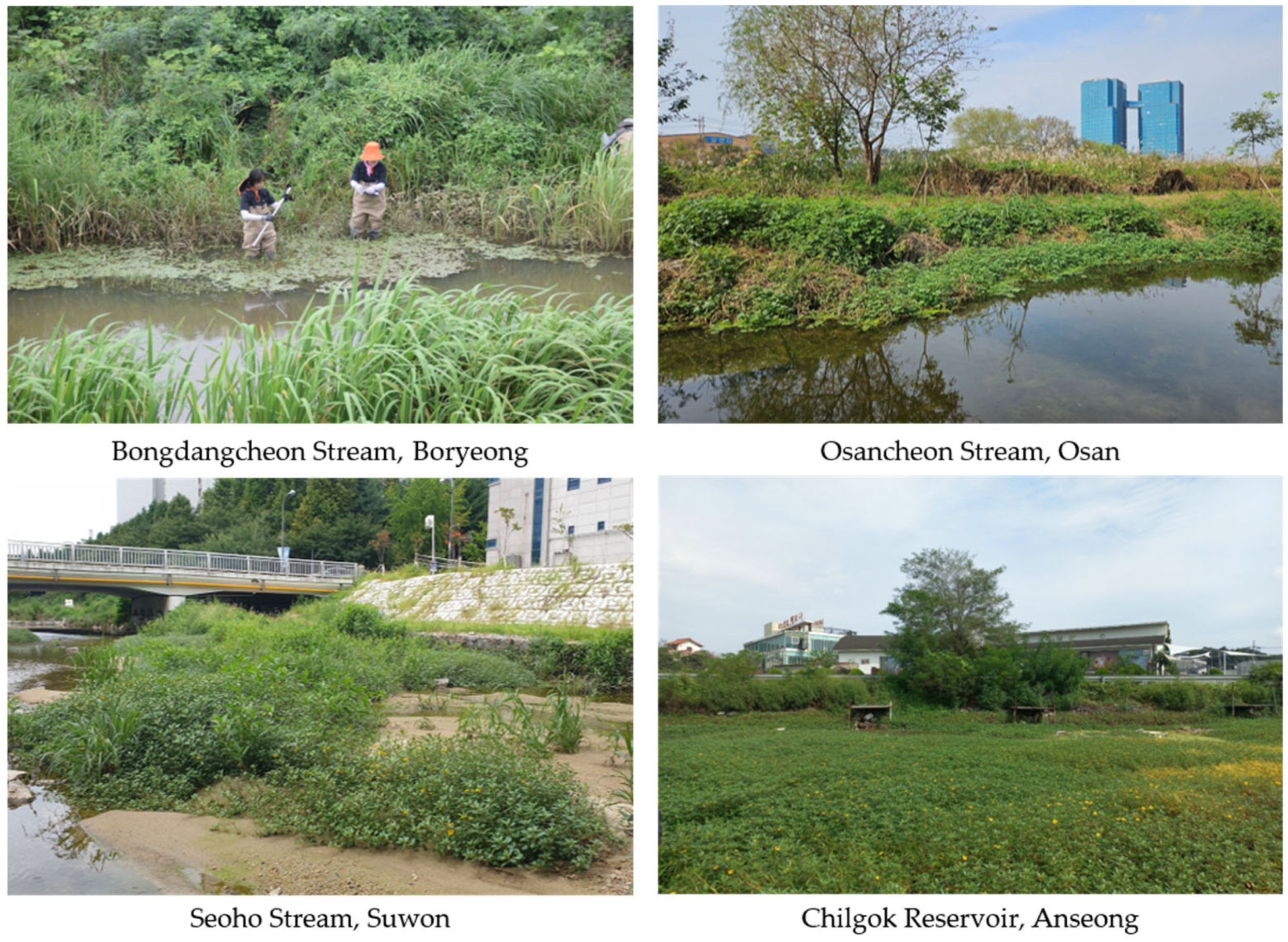 Biology 13 00768 g002