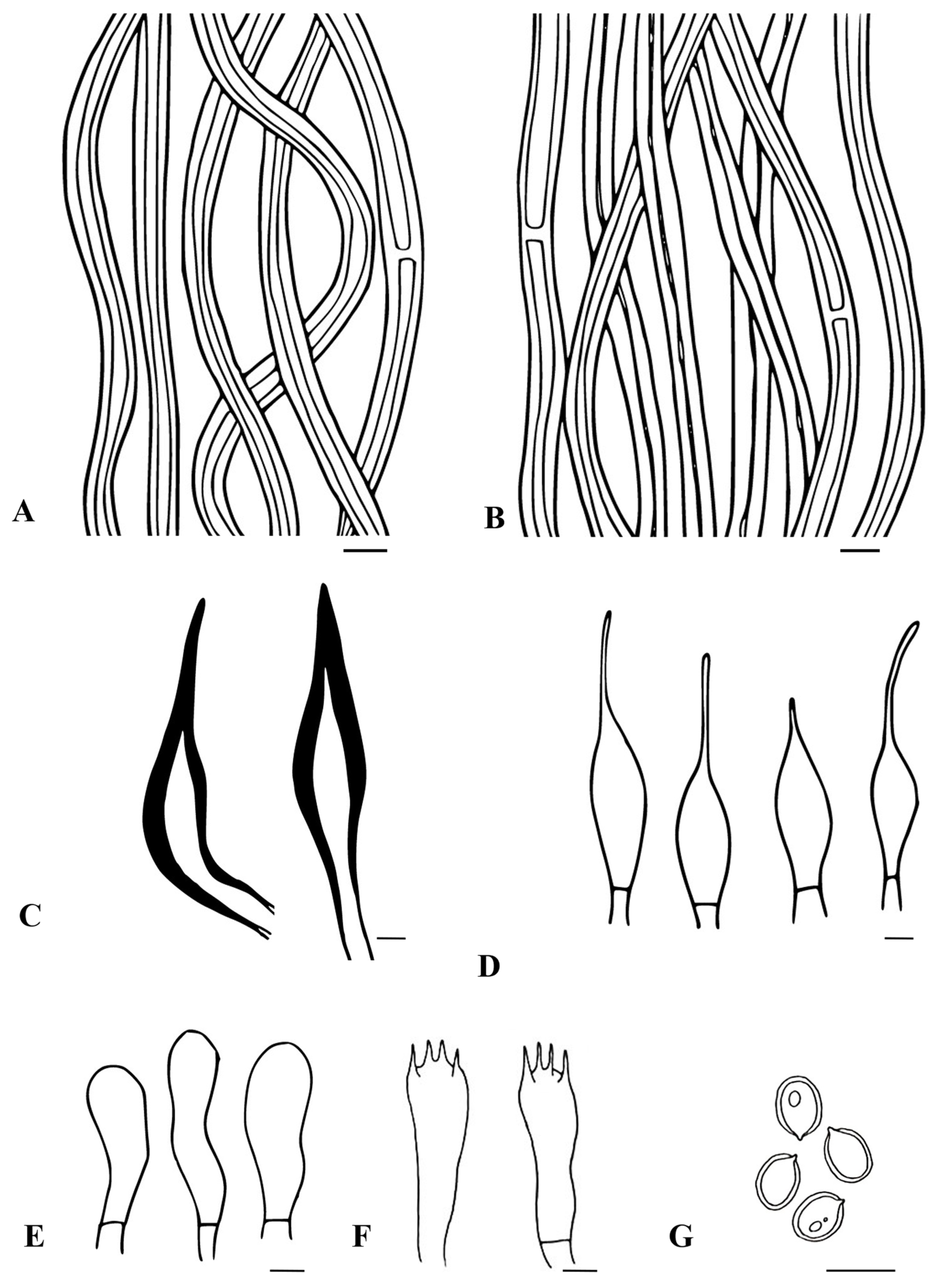 Biology 13 00770 g003