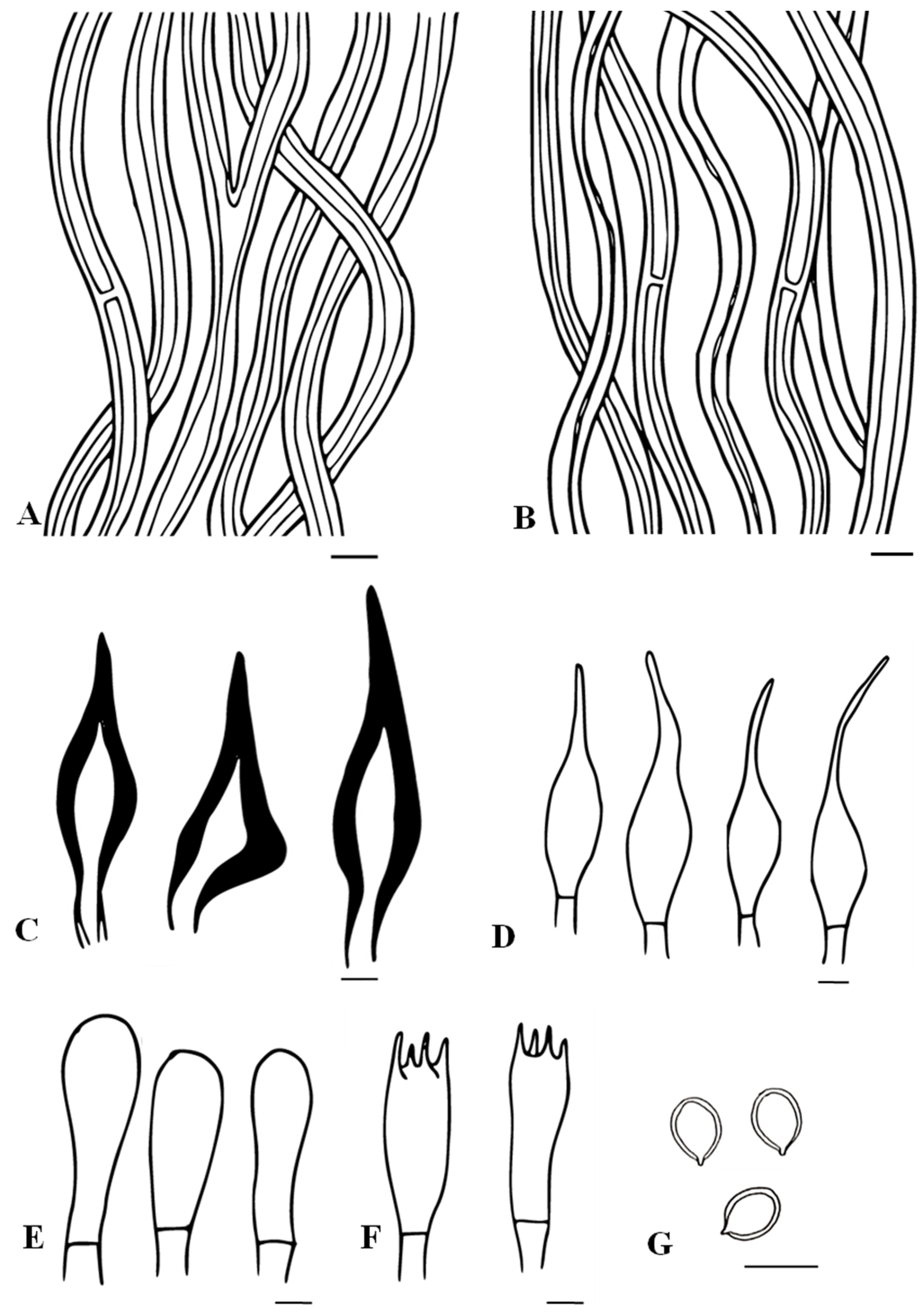 Biology 13 00770 g005