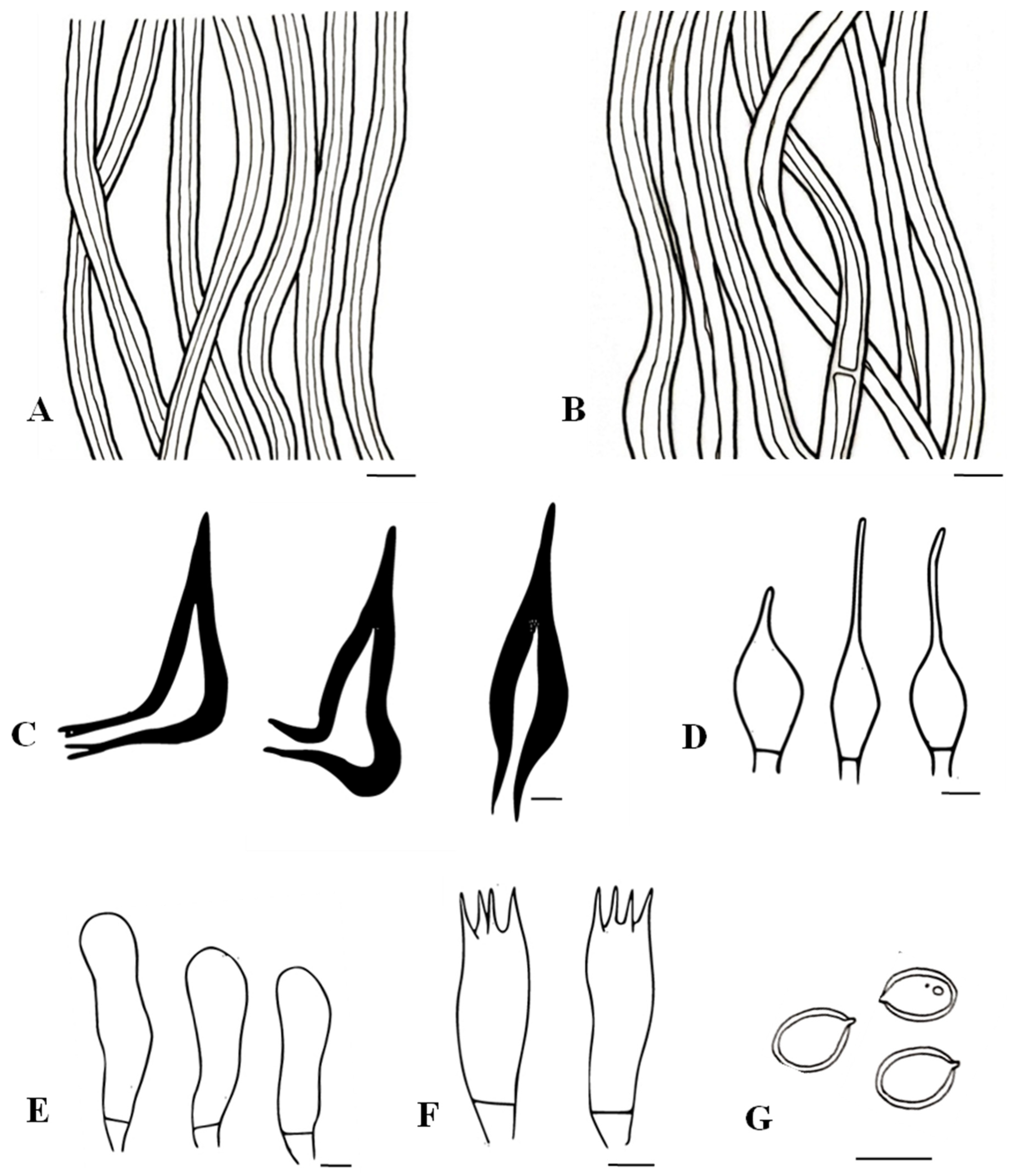 Biology 13 00770 g007